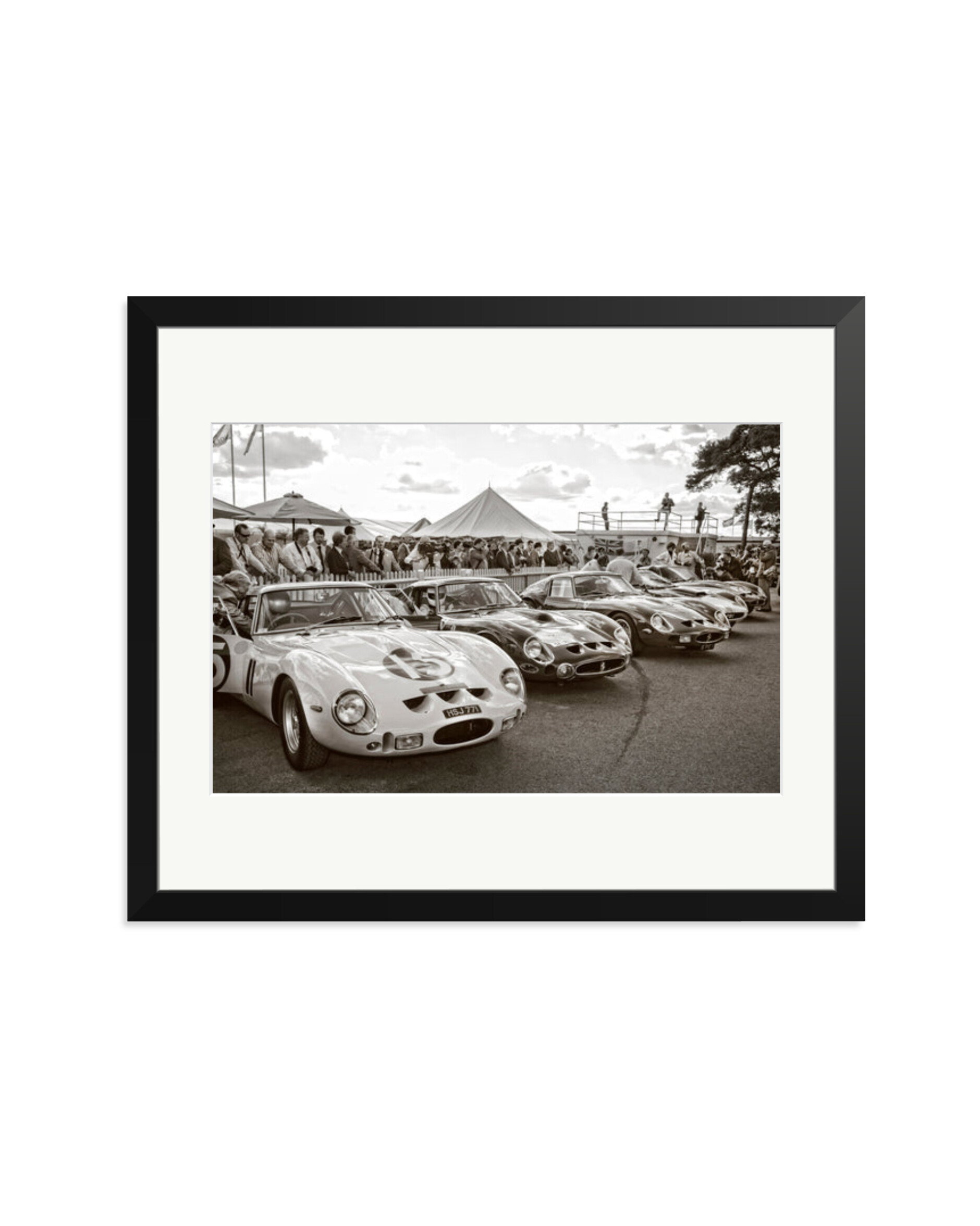 Goodwood Revival Ferarri 250 GTO's Black / Large