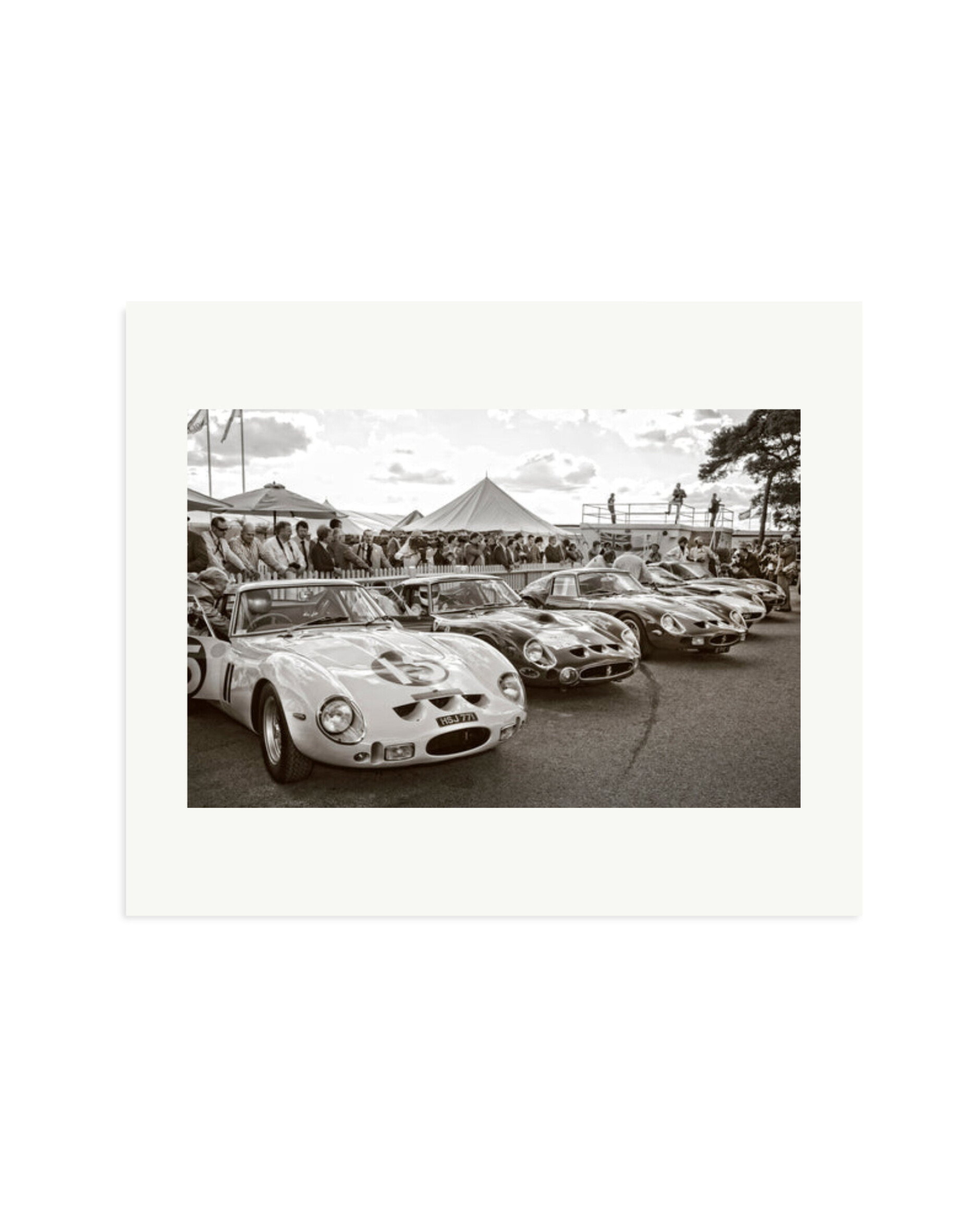 Goodwood Revival Ferarri 250 GTO's Print Only / Large