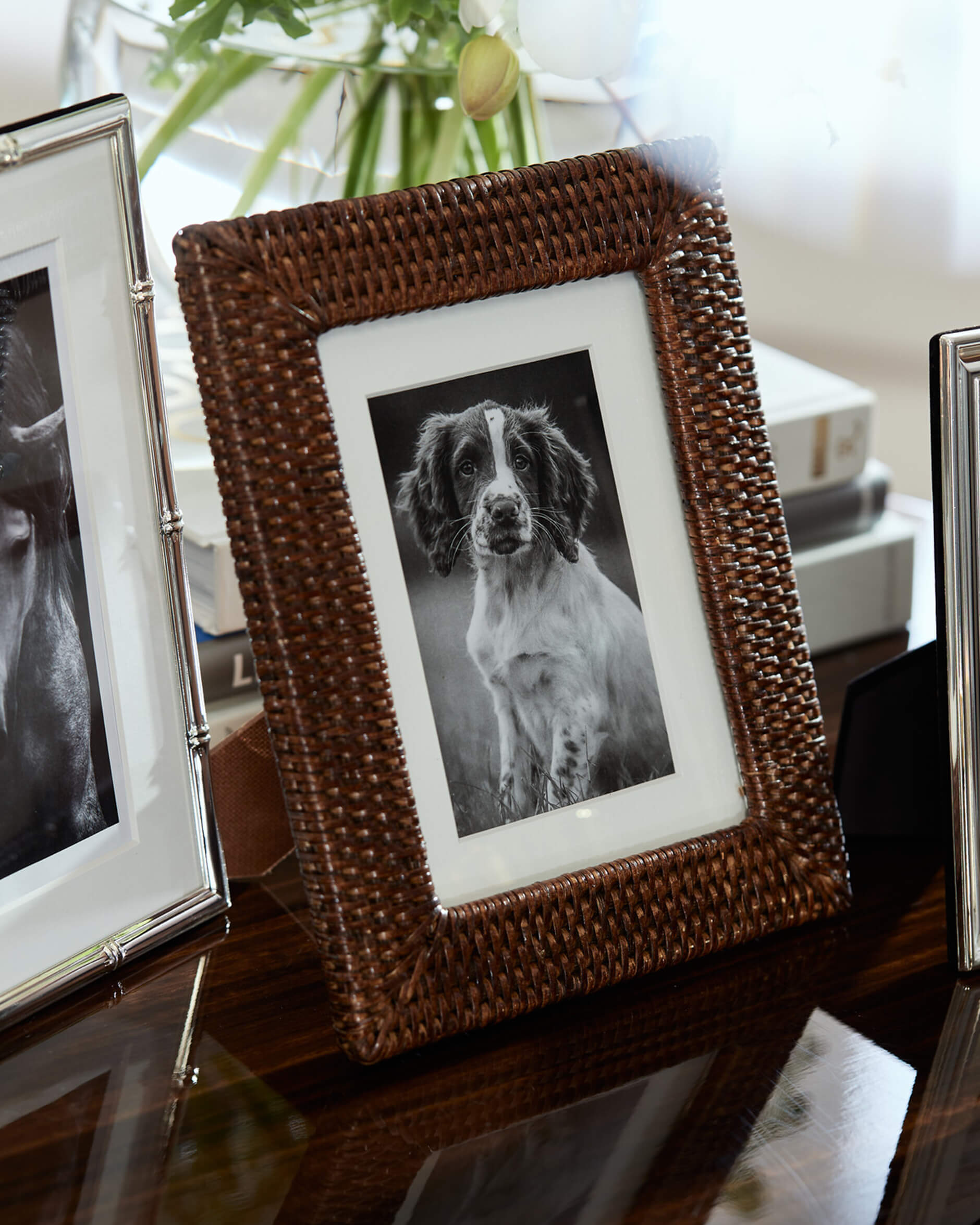 Cognac fotoram rotting