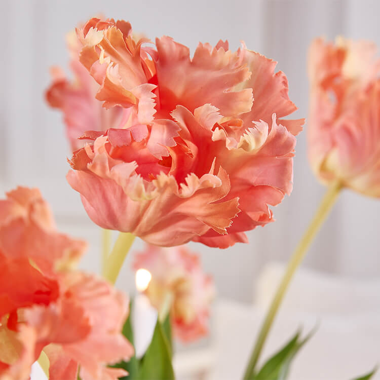 Tulips