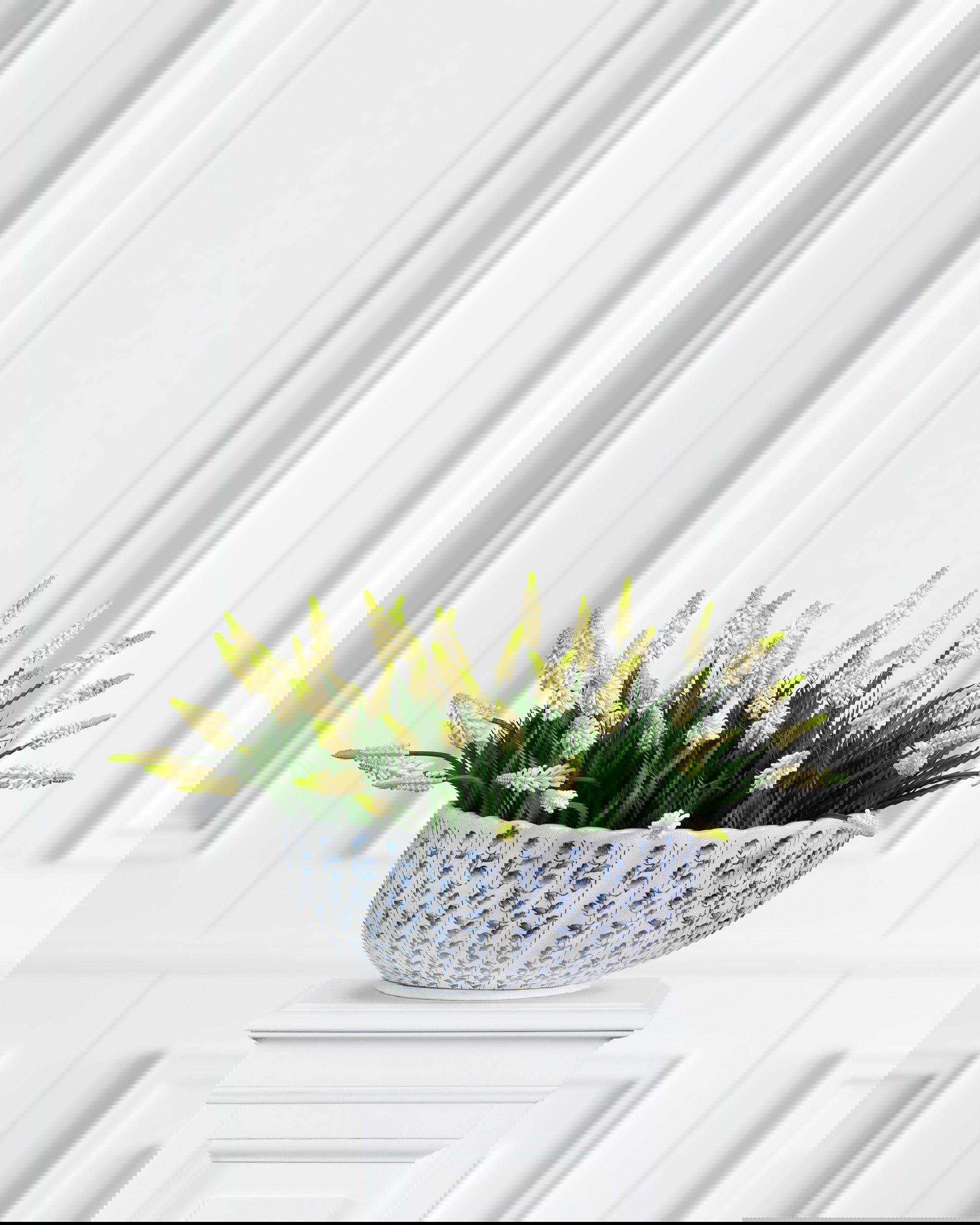 Pärlhyacint krukväxt vit