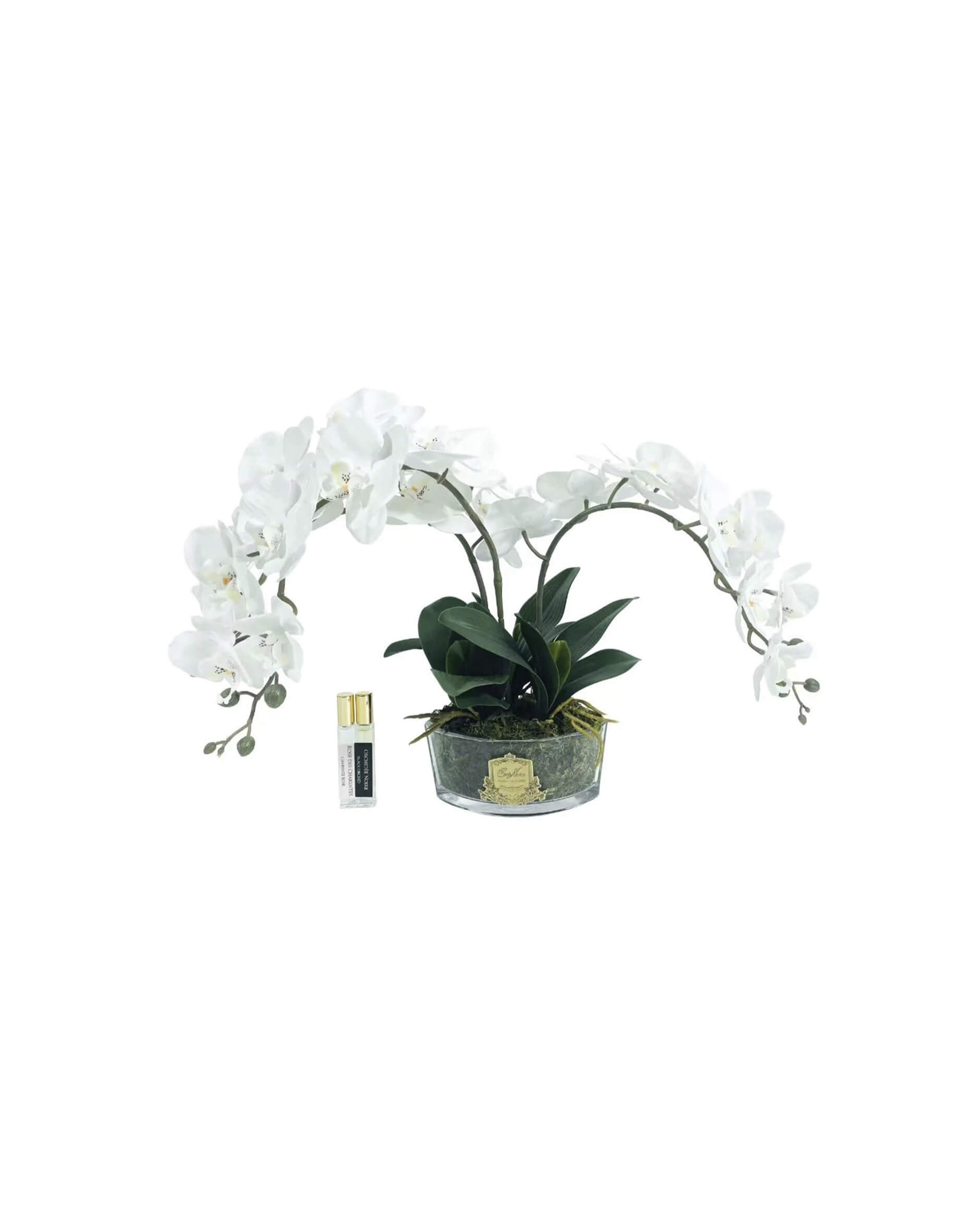 Orchidée Classique gåvoset