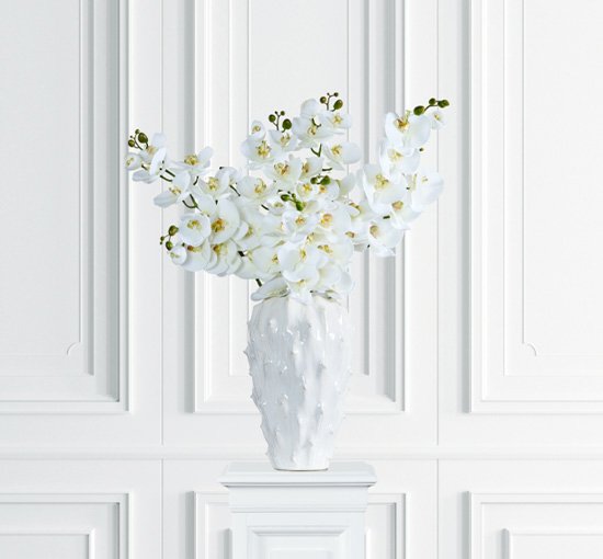 Valkoinen orkidealeikkokukka