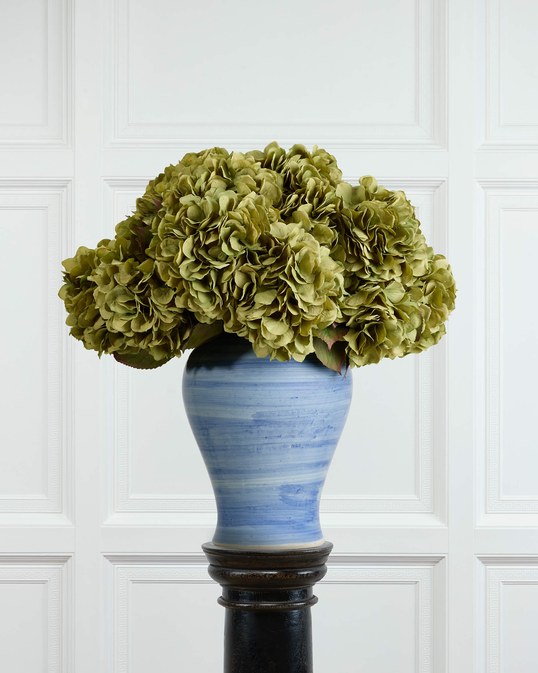 Hortensia snittblomma grön