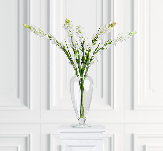 Hvit - Tuberosa snittblomst hvit
