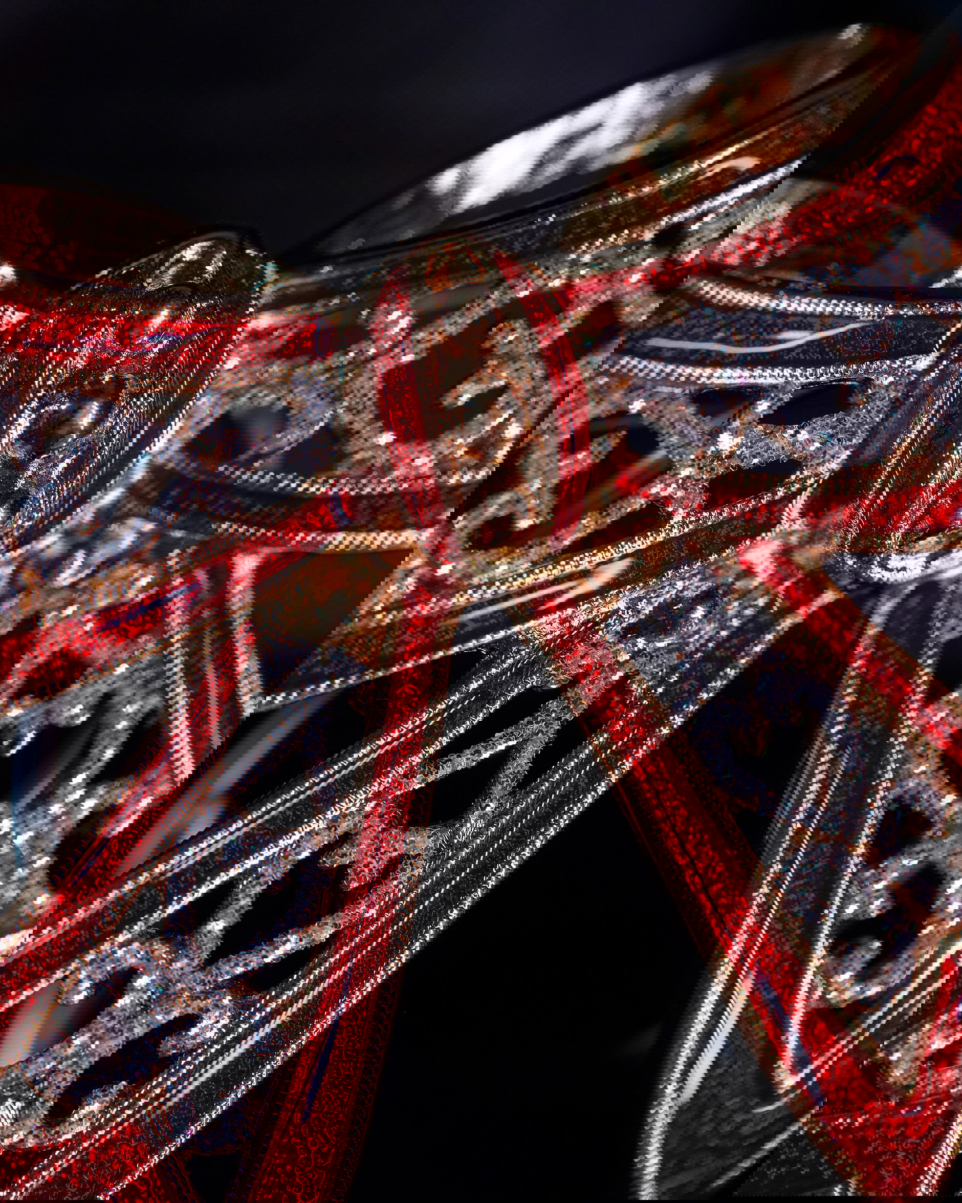 Clement rosett brosch röd