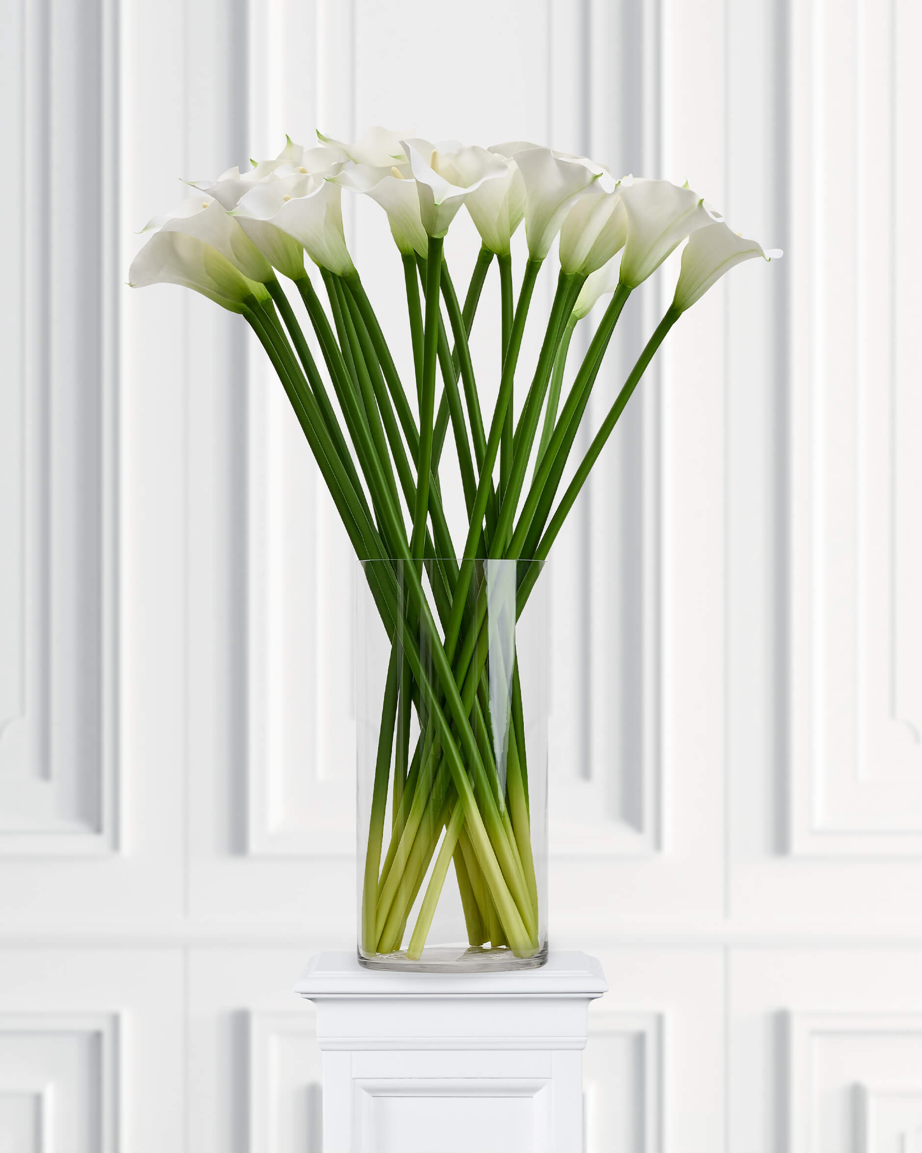 Kalla leikkokukka valkoinen