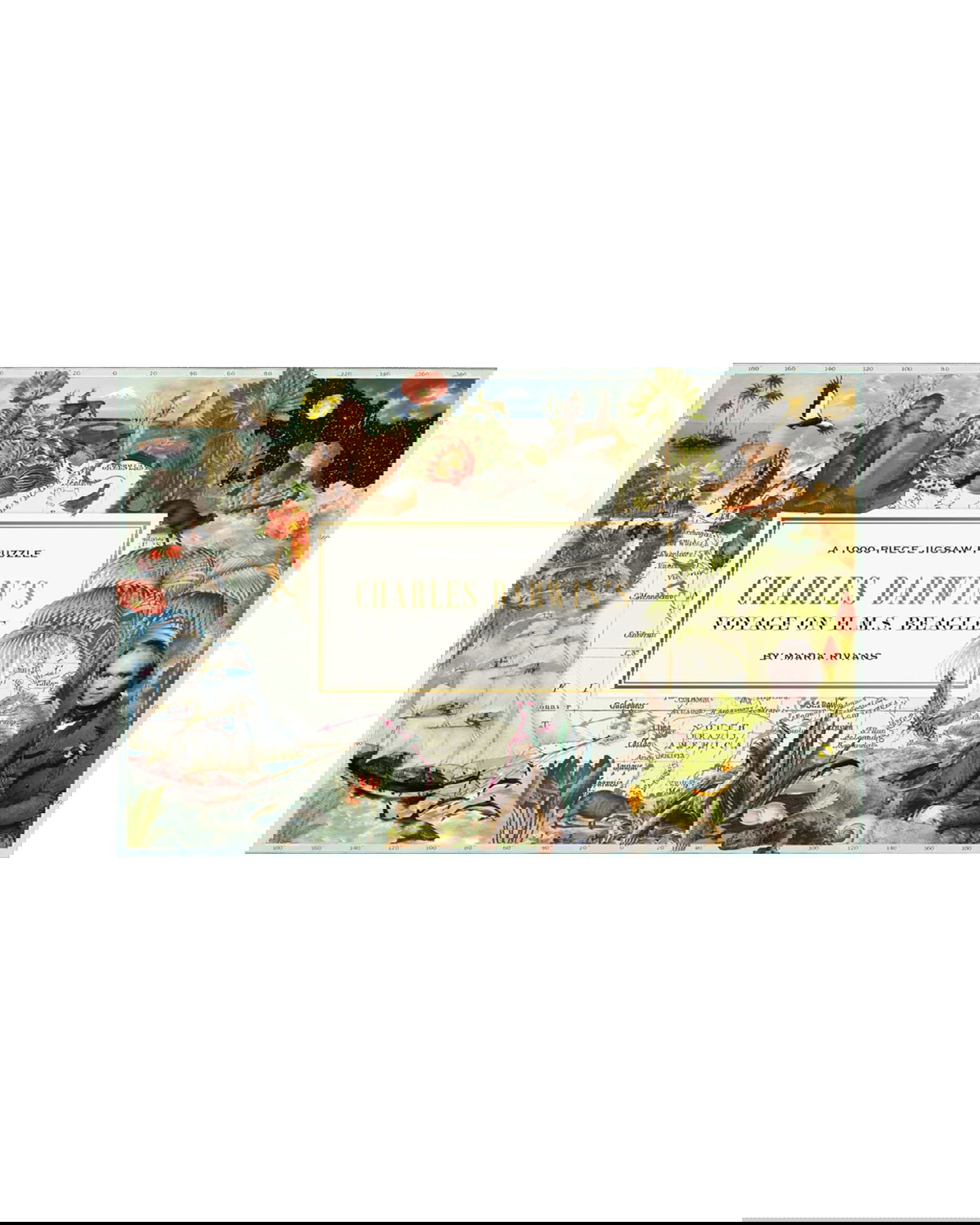 Charles Darwin pussel