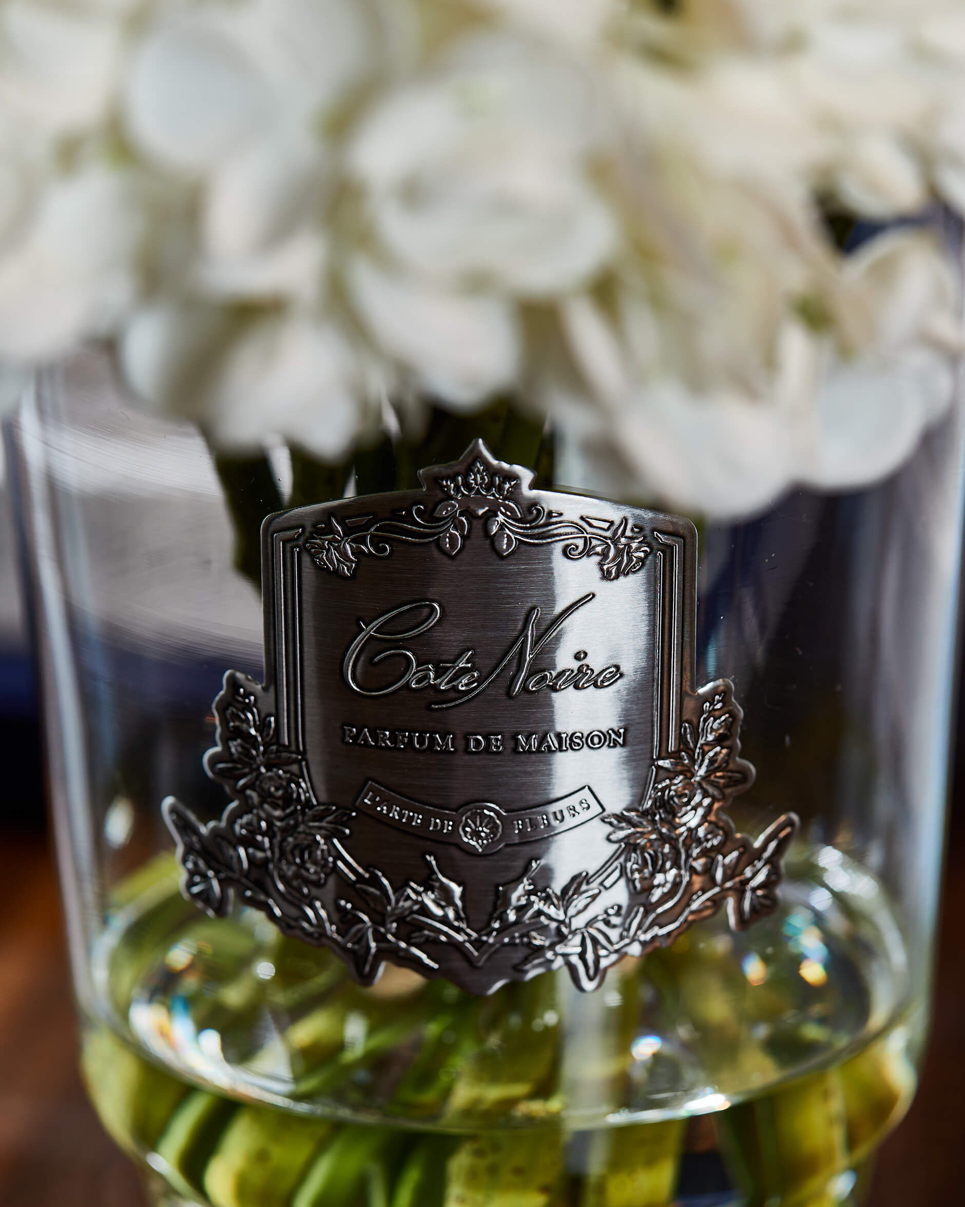 Hortensia d’Été gåvoset