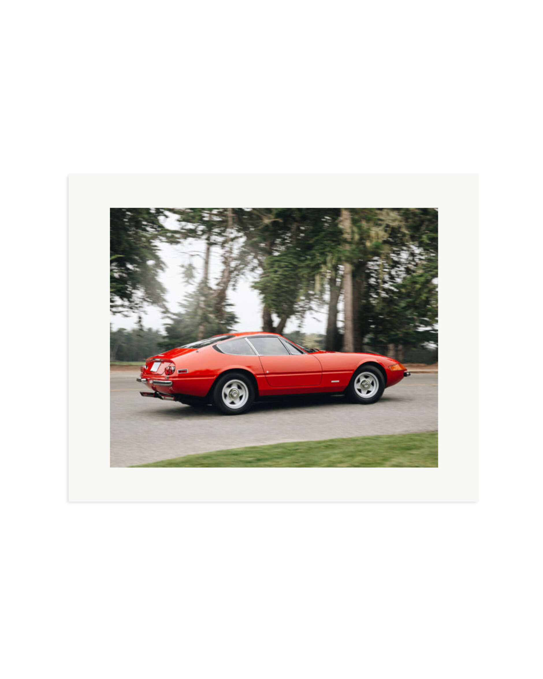 Ferrari Daytona Print Only / XL