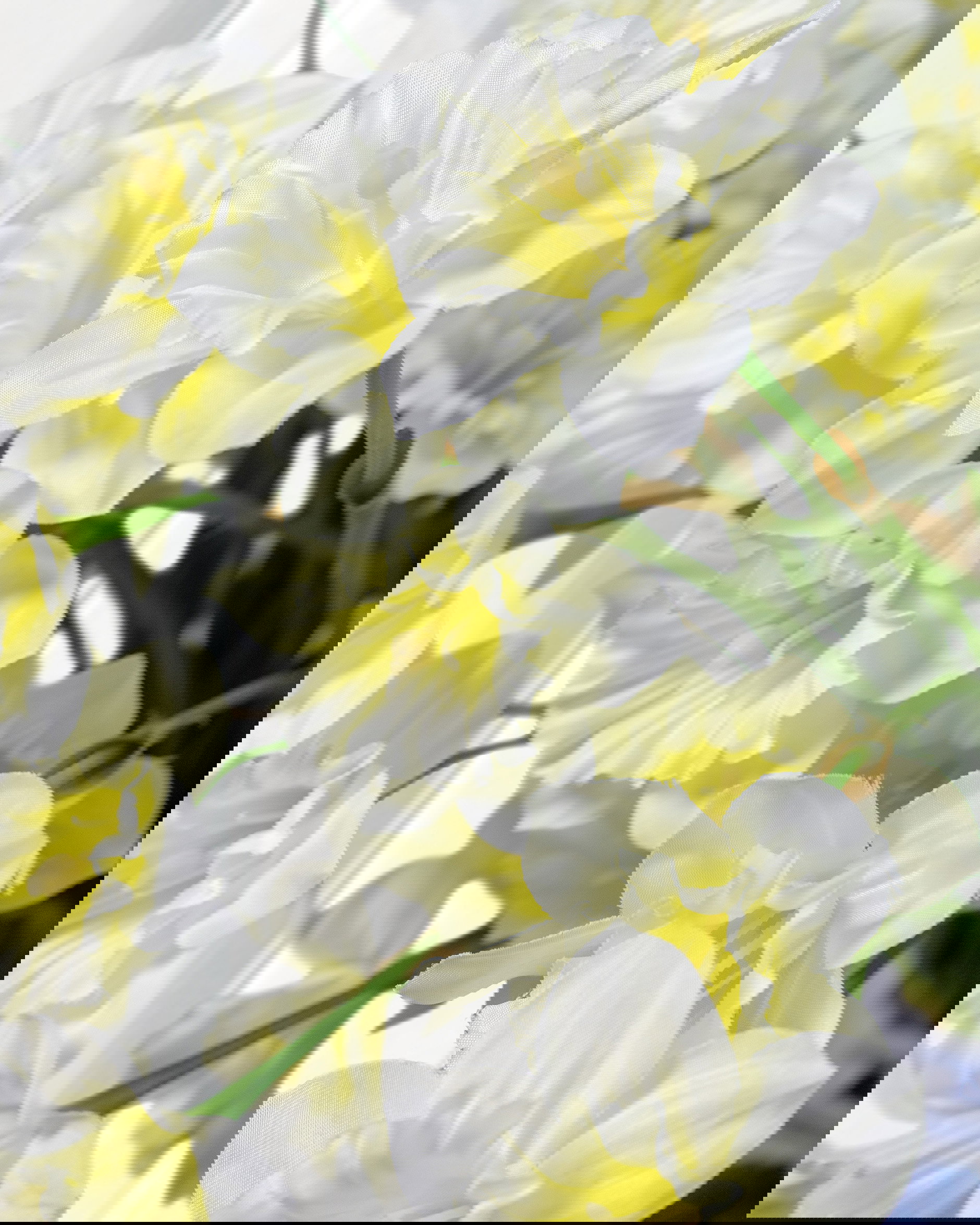 Narciss snittblomma ljusgul