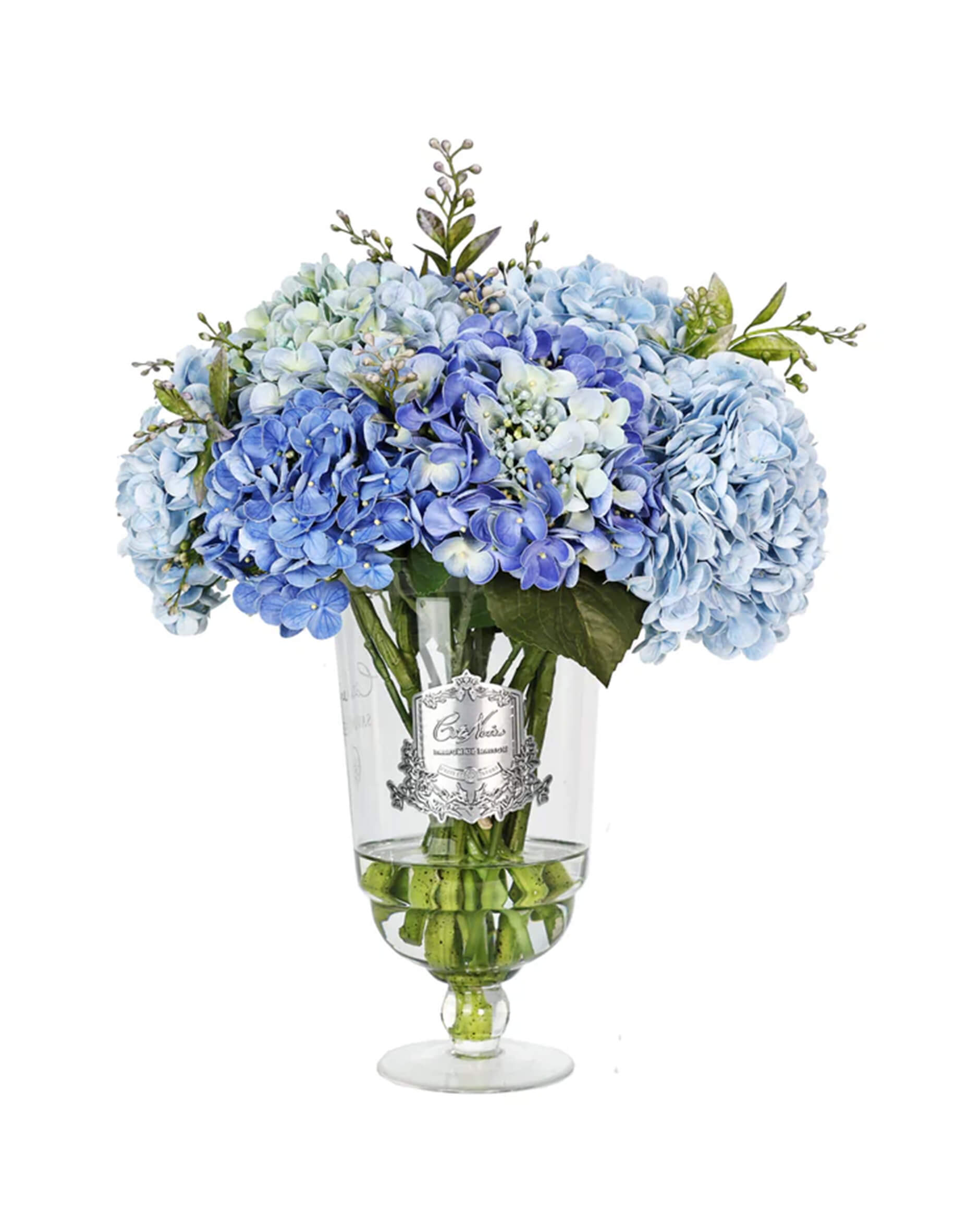 Hortensia d’Été gåvoset