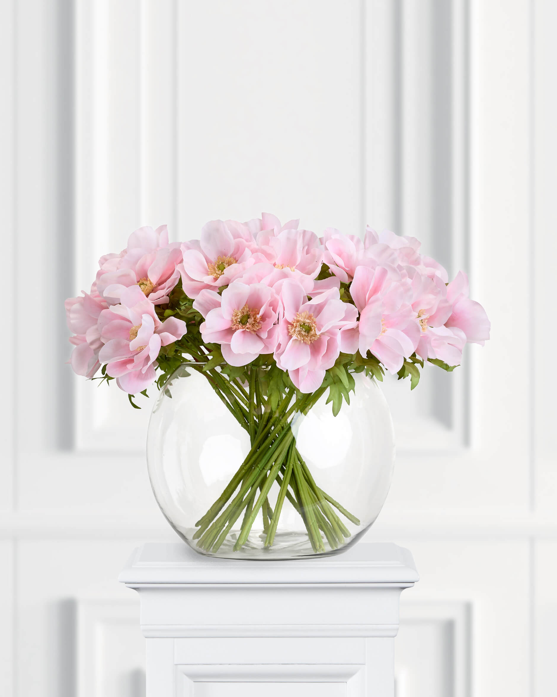 Anemon snittblomma ljusrosa