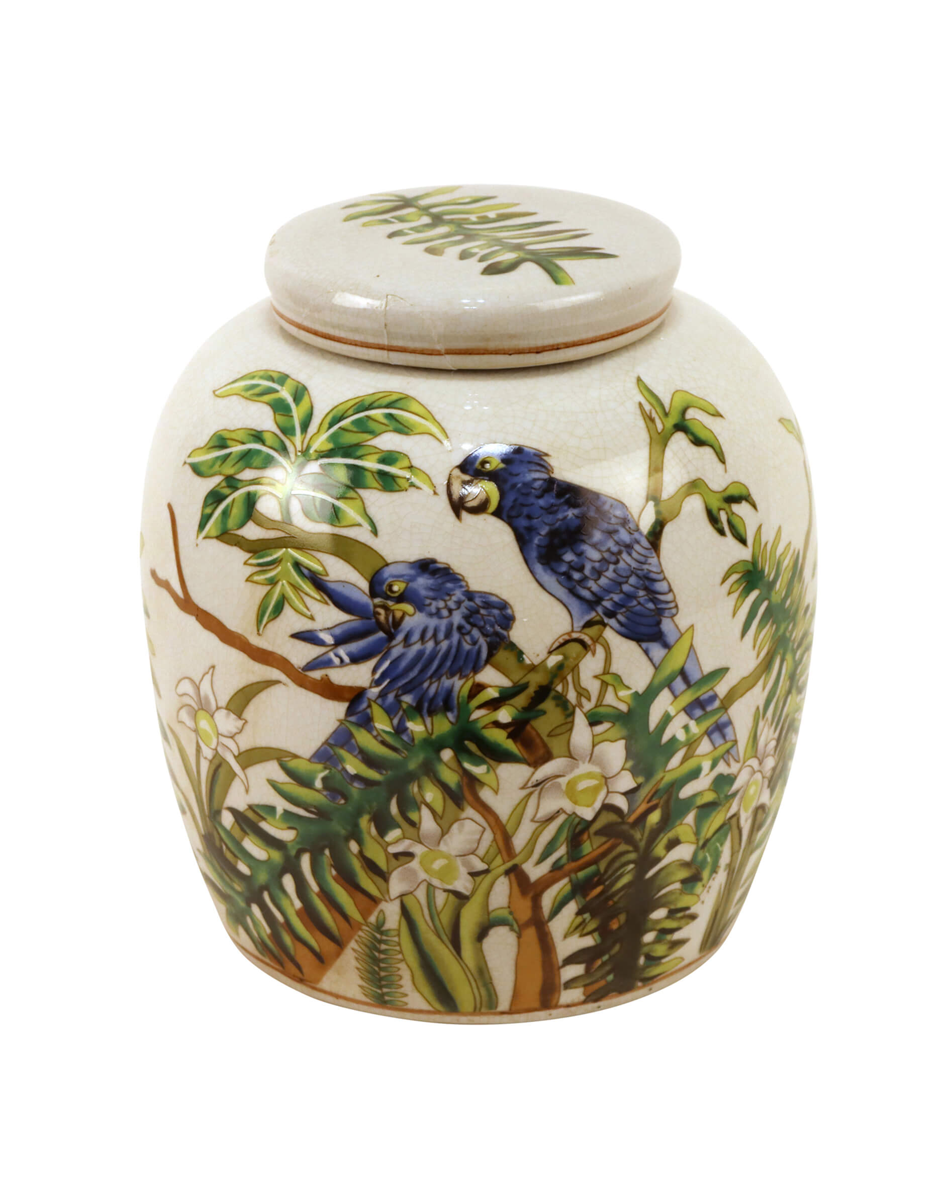 Jungle ingefärskrus