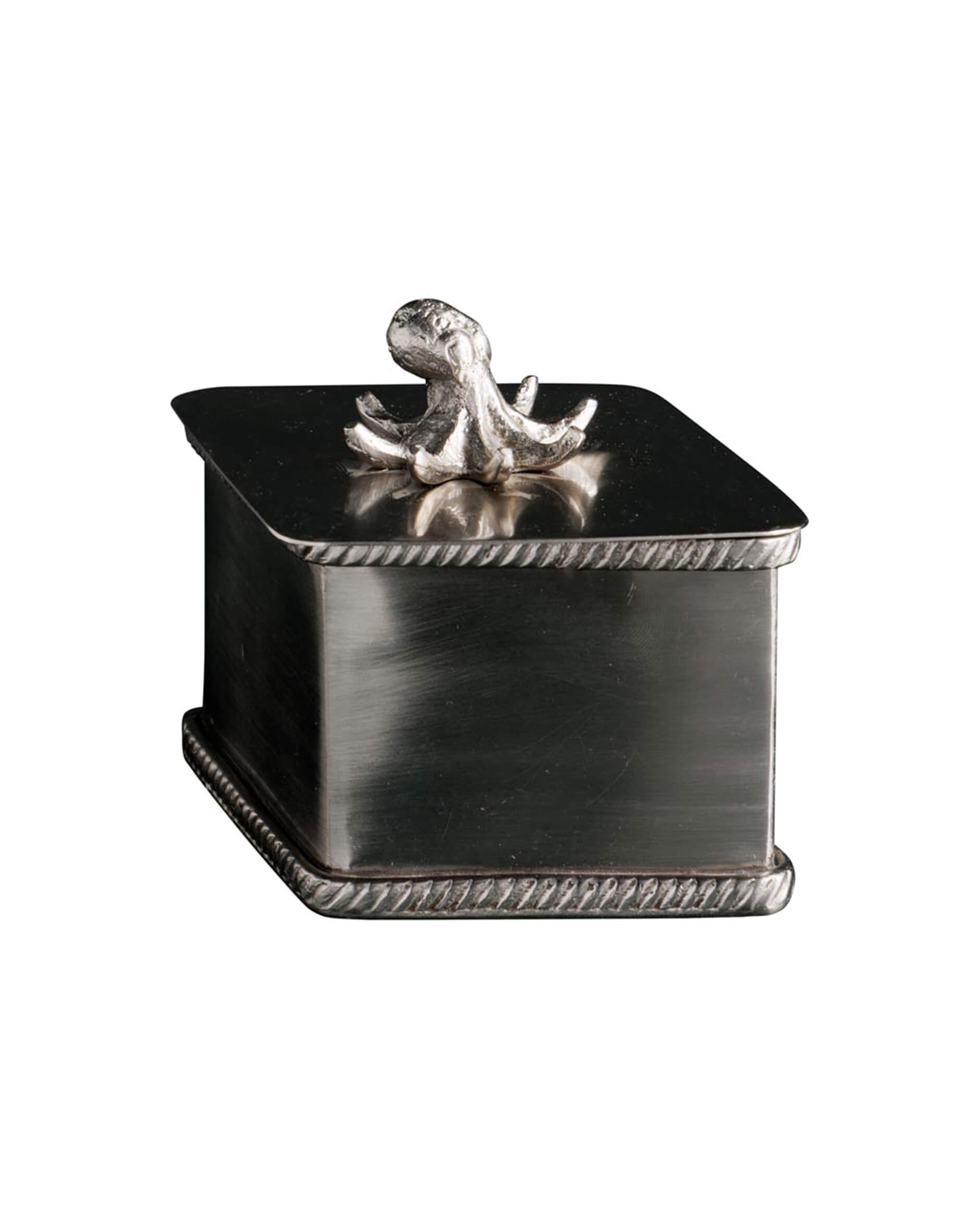 Bläckfisk ask silver