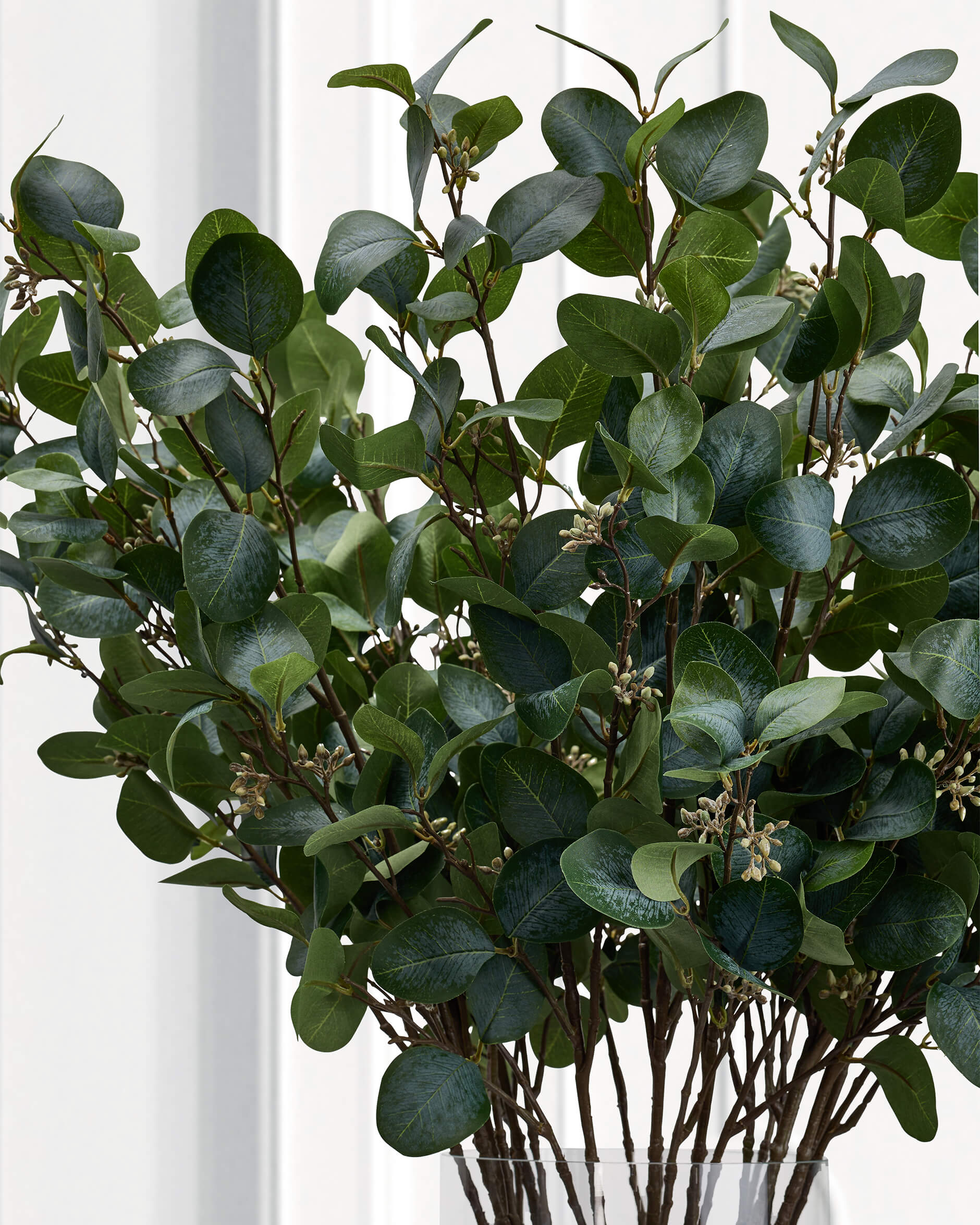 Eucalyptus snittblomma grön