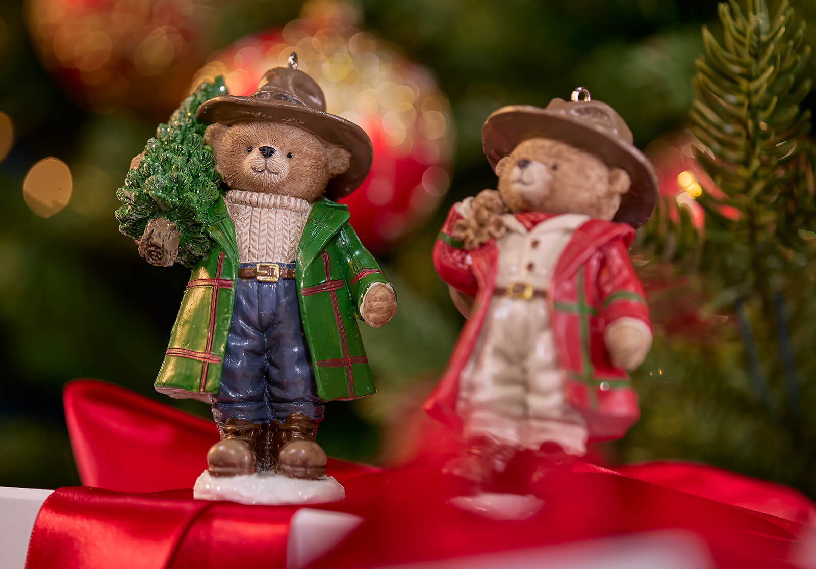 Newport Christmas Collections