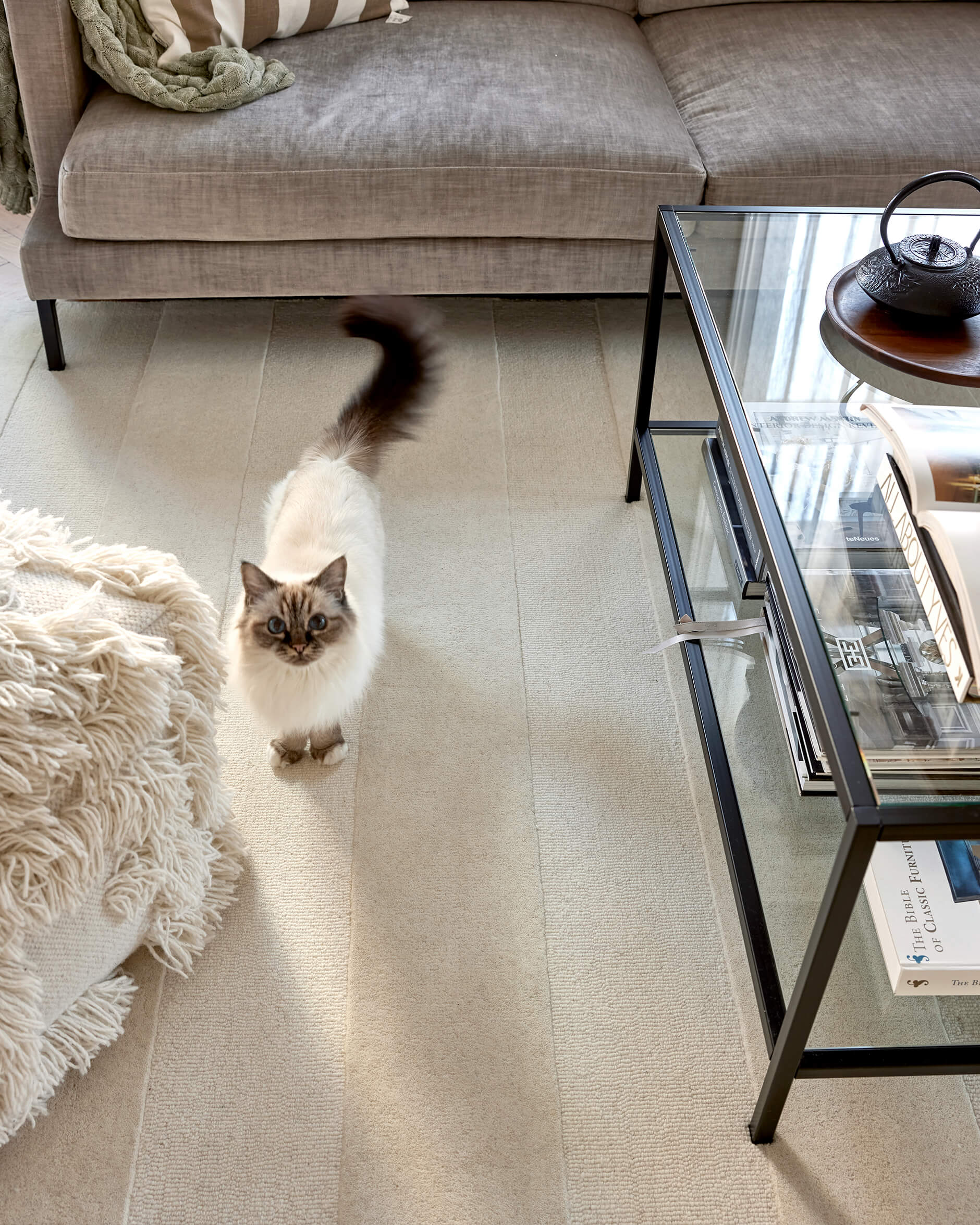 Stripe boucle matta ivory