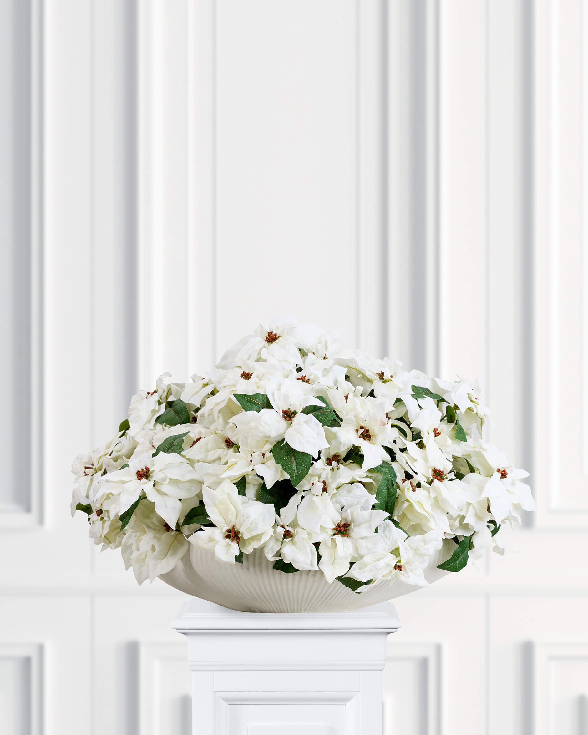 Julstjärna bukett vit