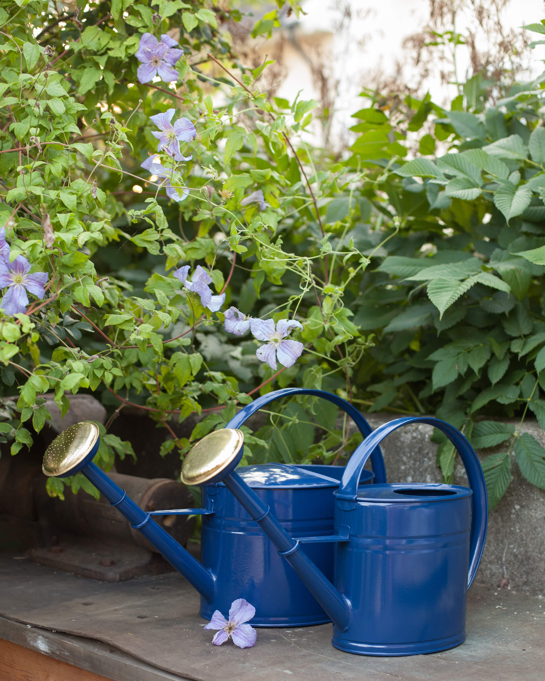 Vattenkanna med stril blå