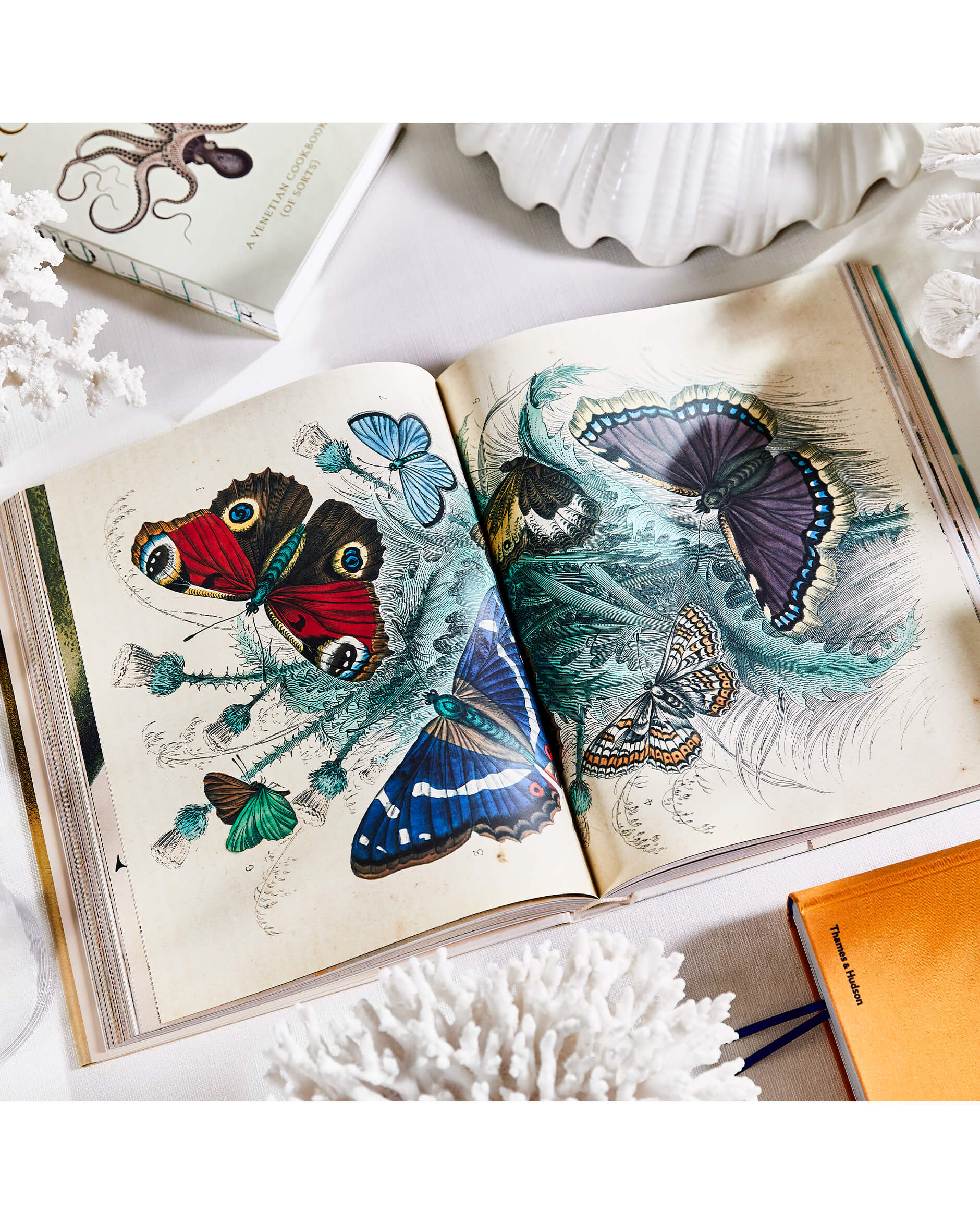 John Derian Picture Book