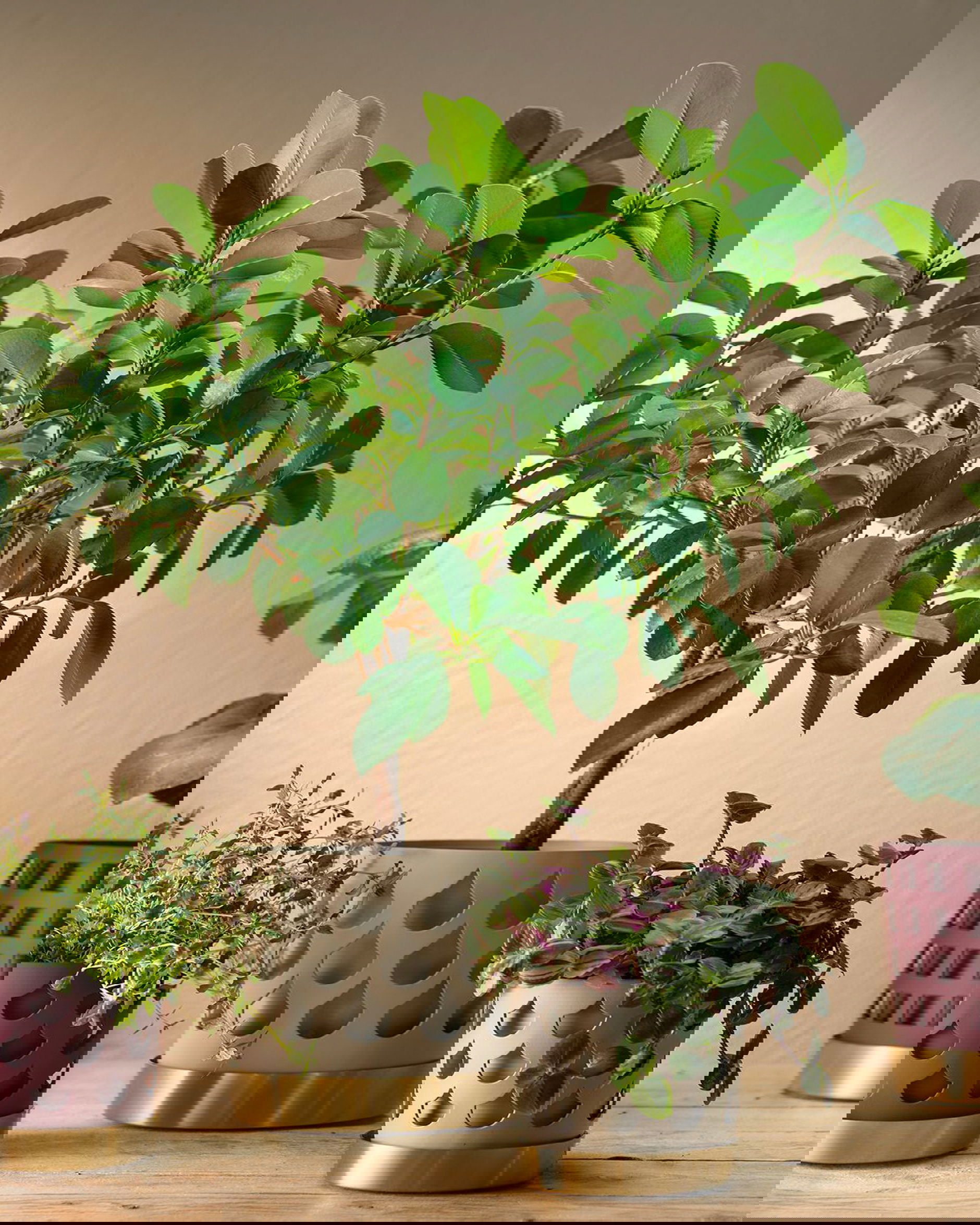 Trio Drop kruka beige