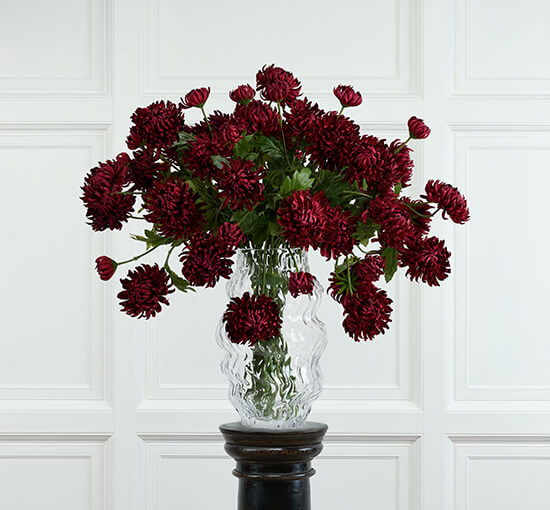 null - Chrysanthemum Cut Flower Red