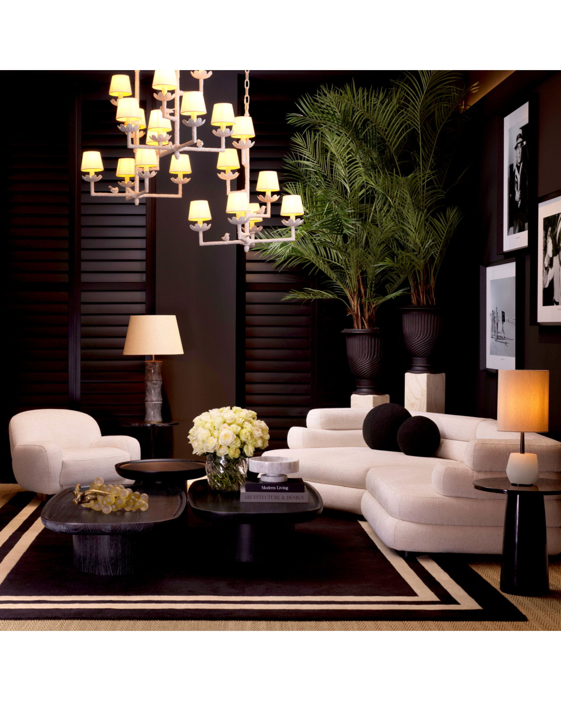 Celeste matta svart/vit