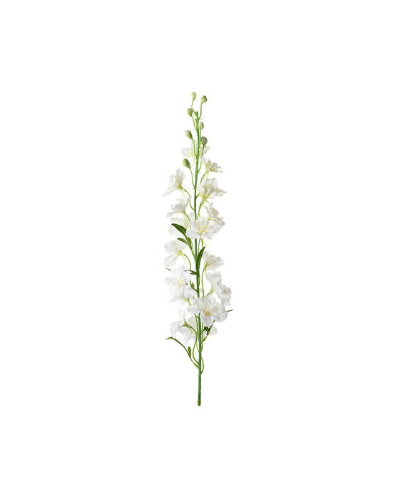 Delphinium snittblomma vit
