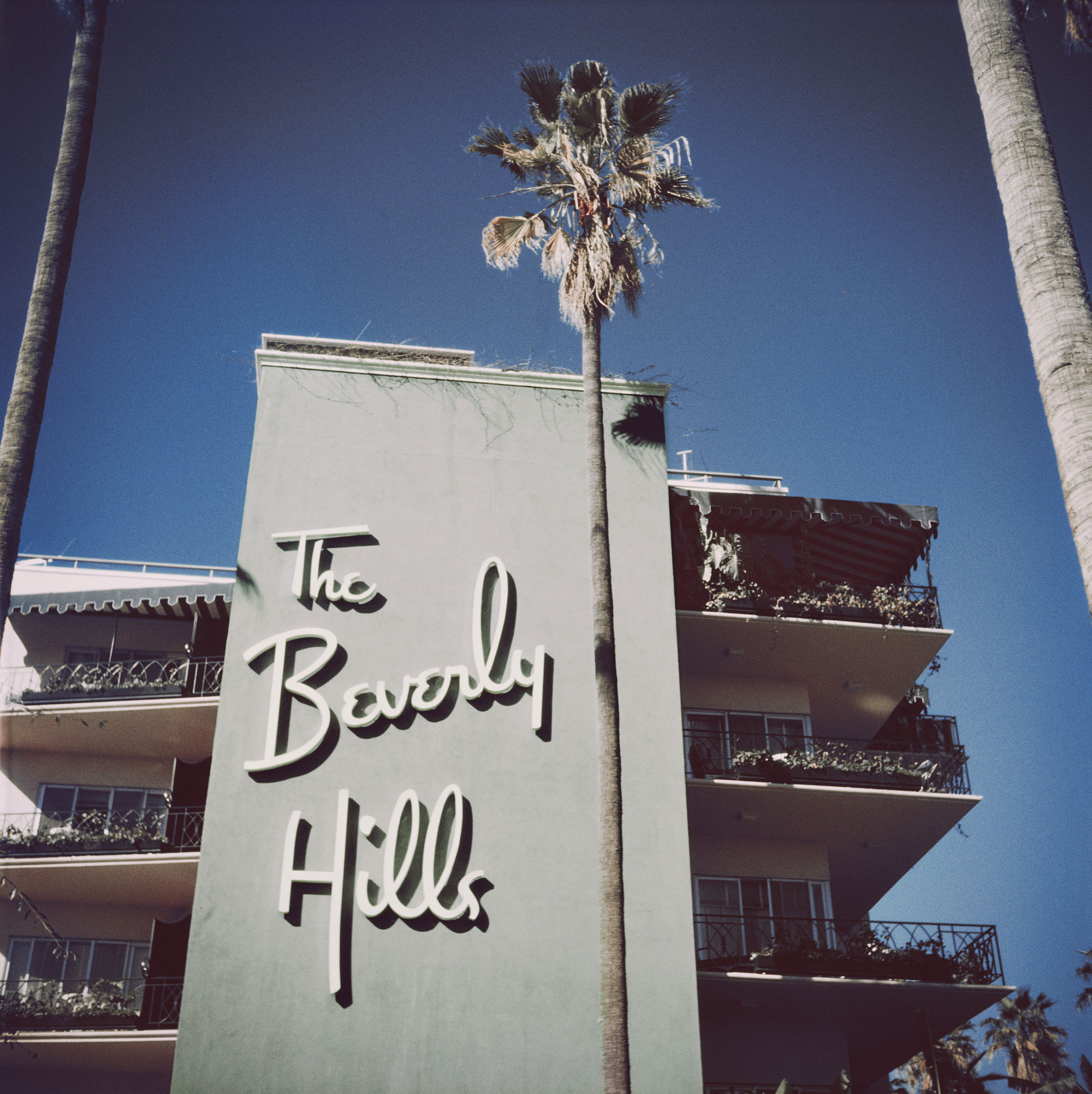 Beverly Hills Hotel