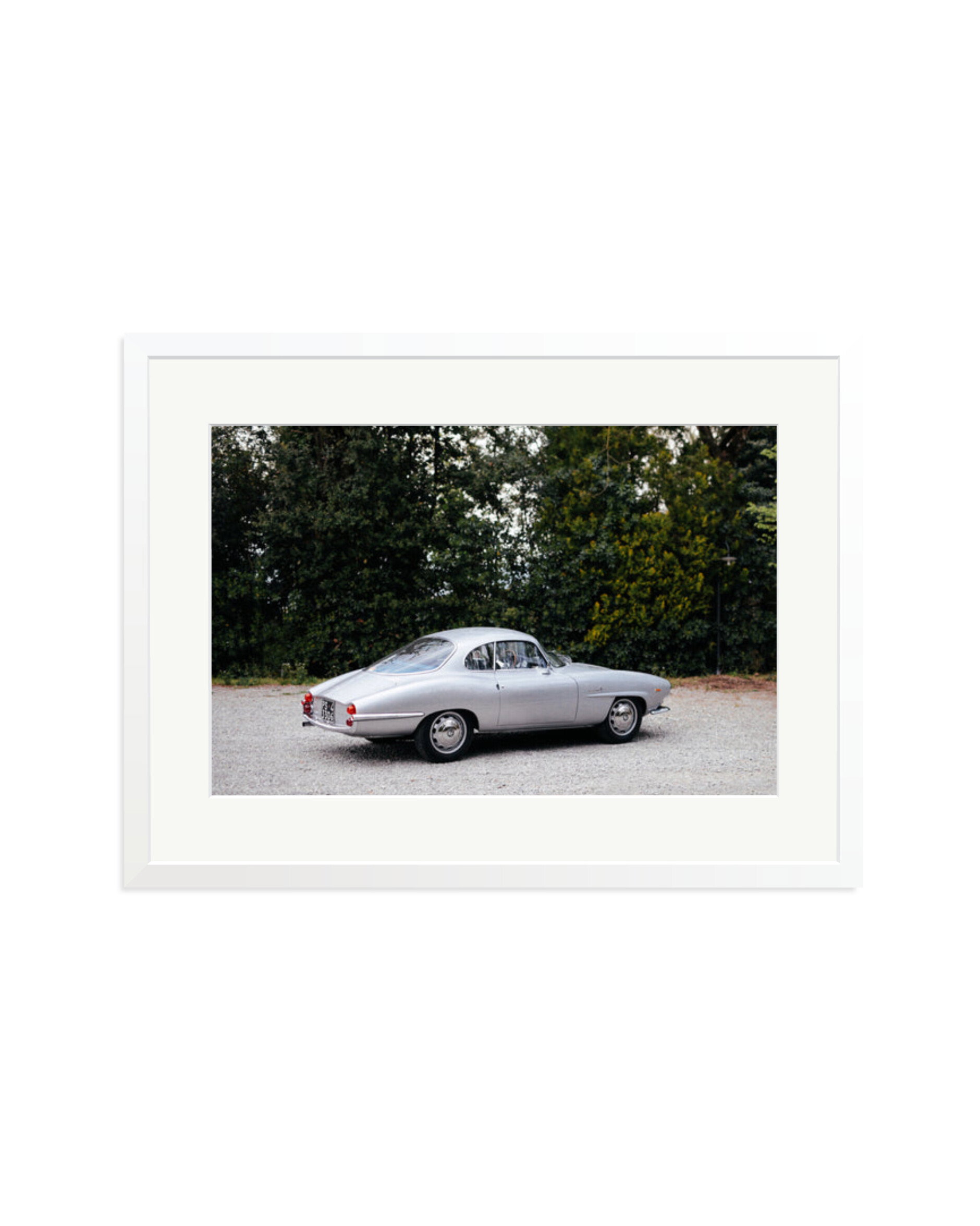 1964 Alfa Romeo Giulia SS White / XL