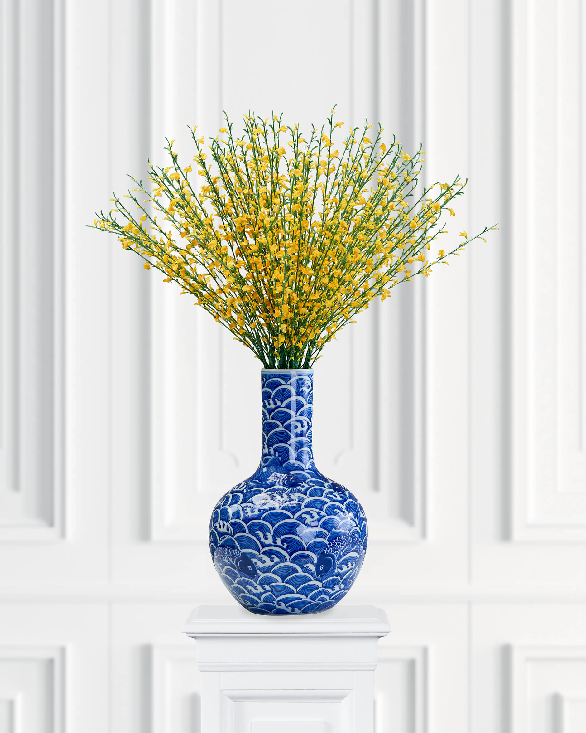 Ginst snittblomma gul