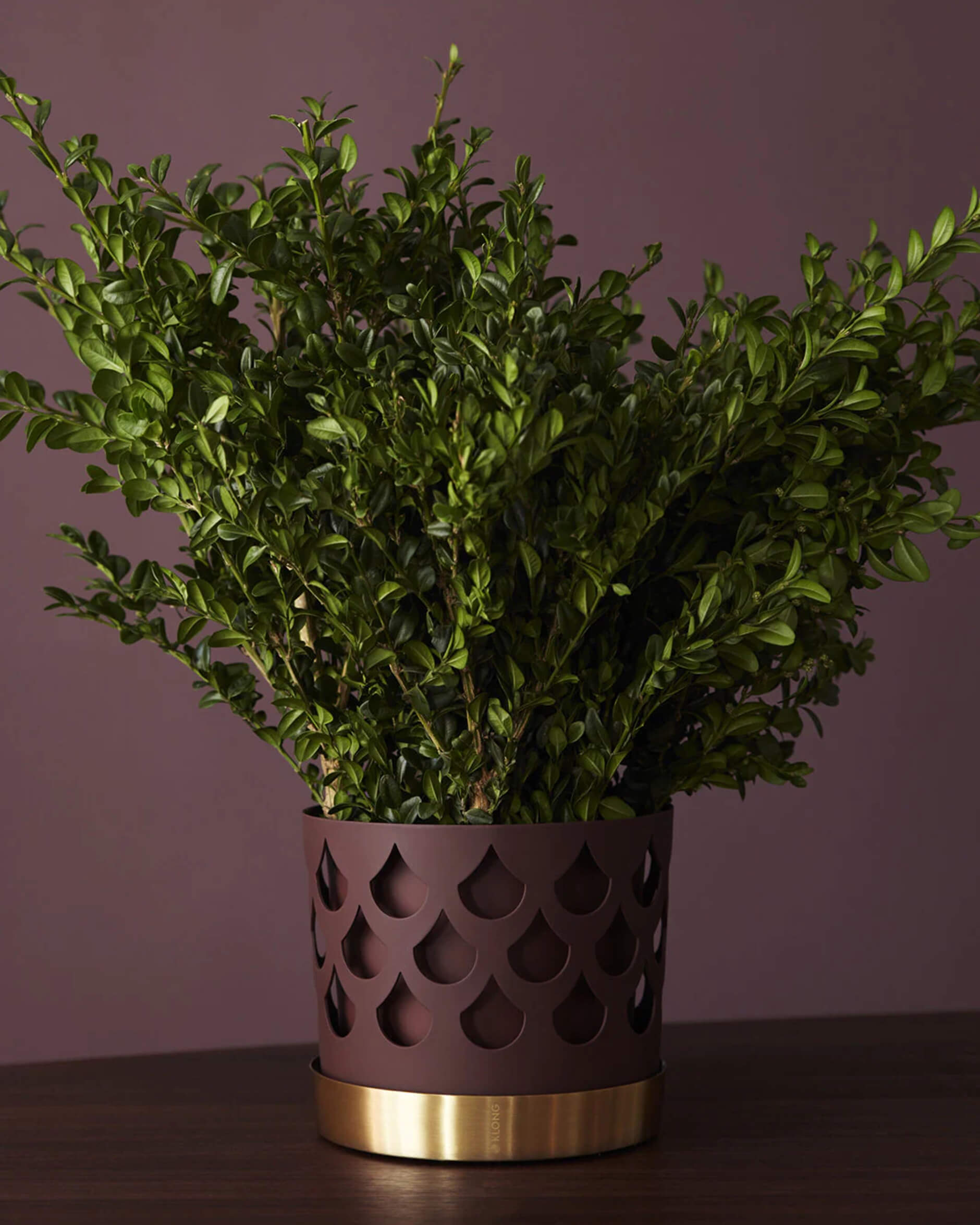 Trio Drop kruka burgundy