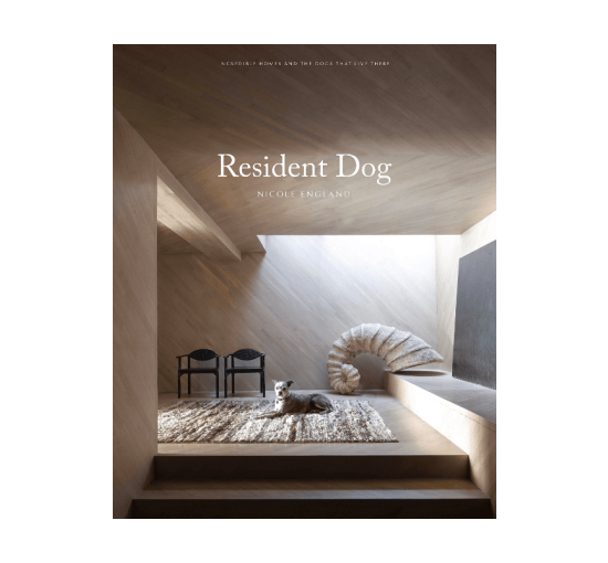 Resident Dog