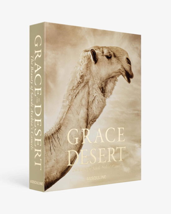 Grace in The Desert: The Beauty of Saudi Arabia's Camels