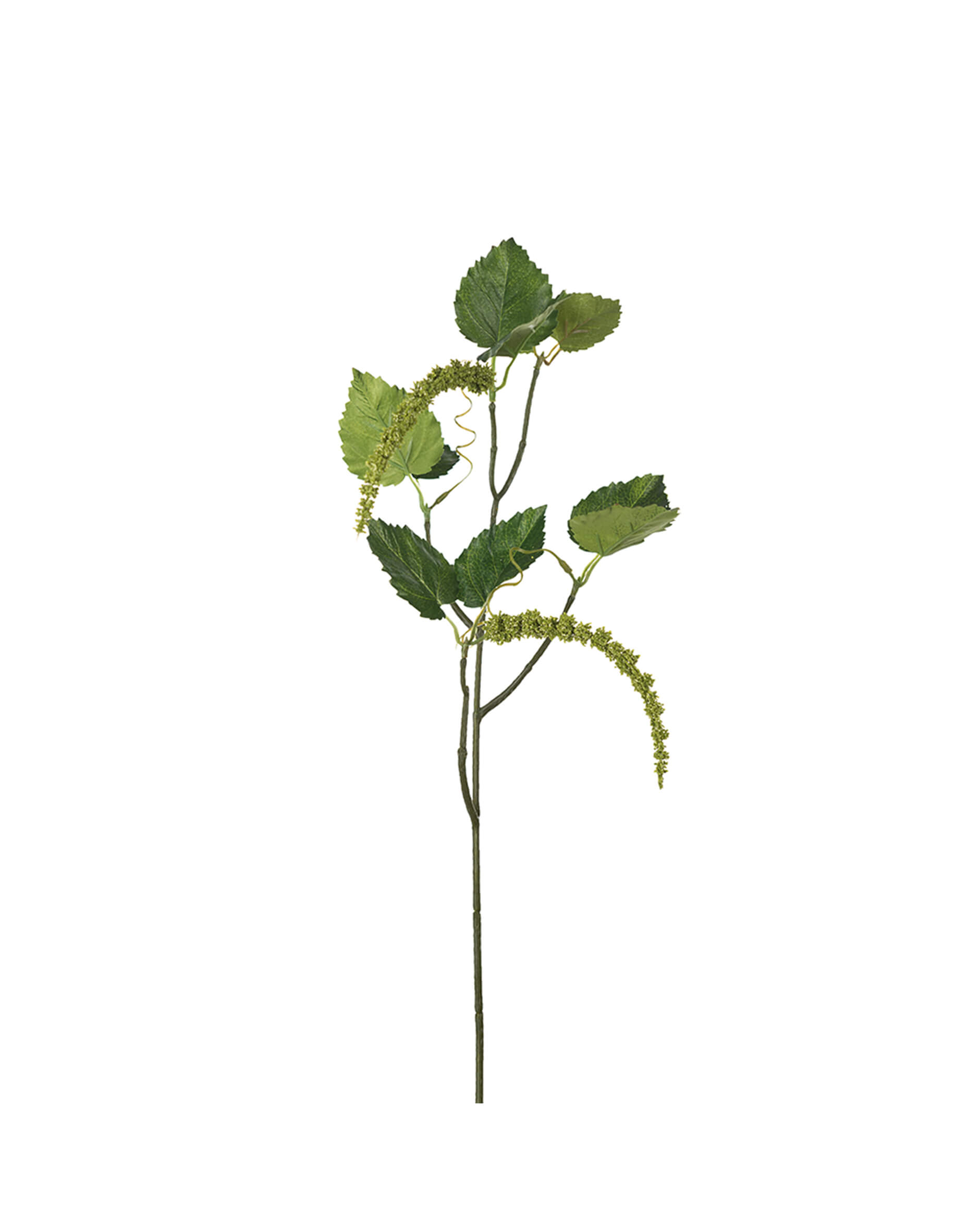 Amaranthus twig 55 cm