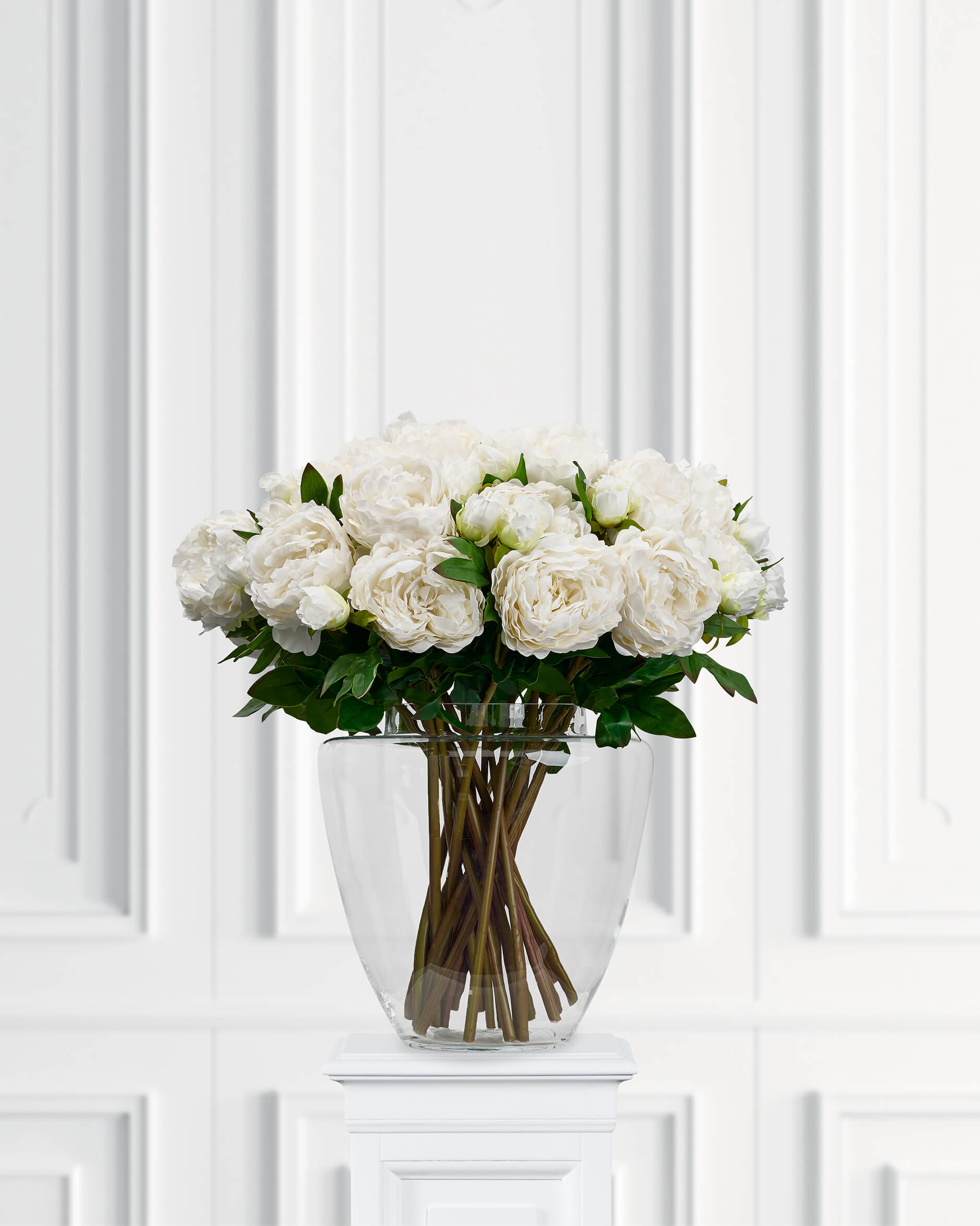 Pion snittblomma vit