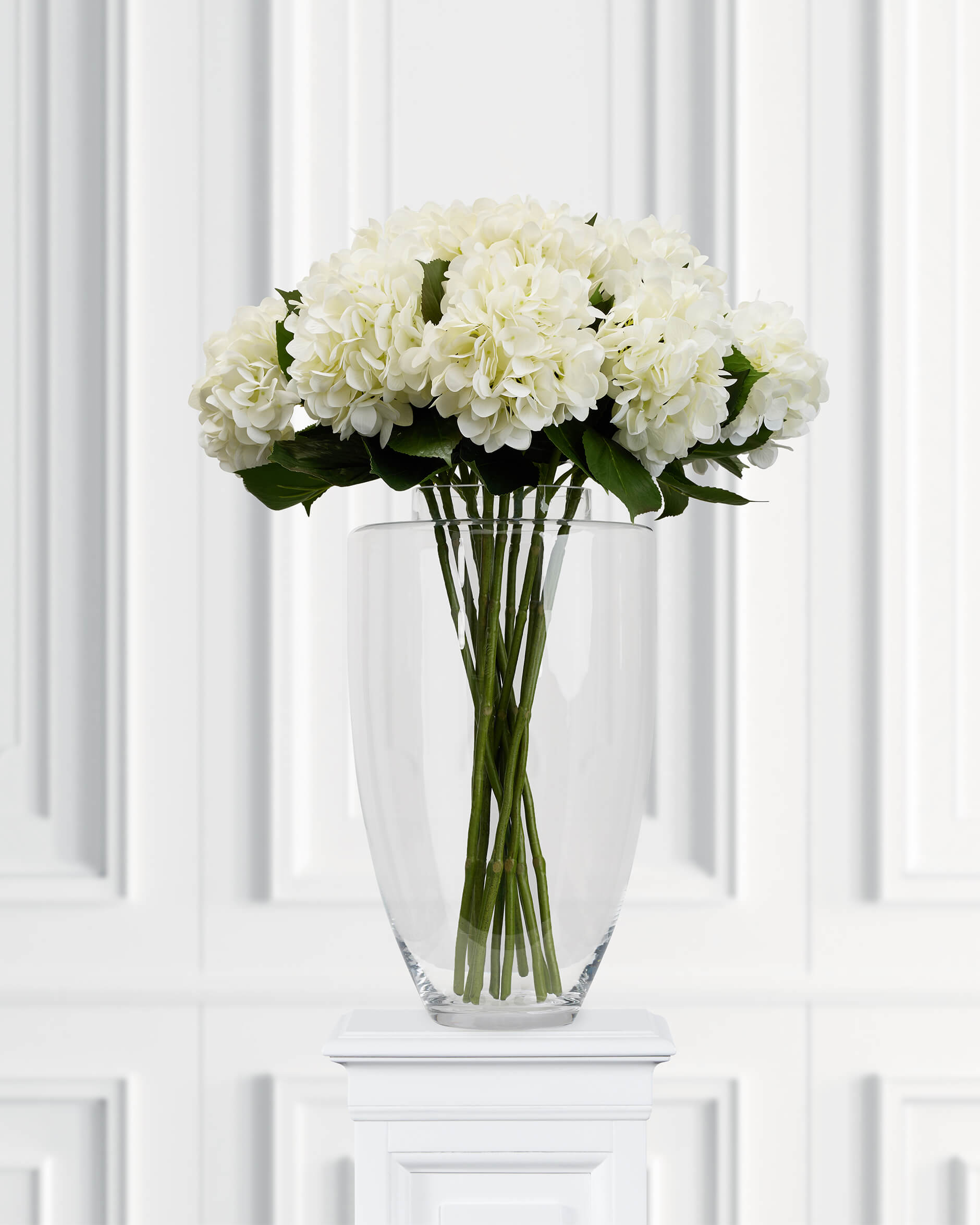 Hortensia snittblomma vit