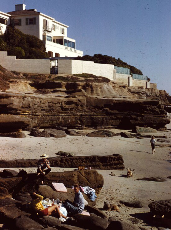 Beach Picnic