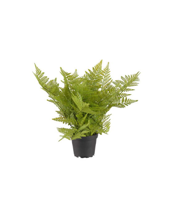 Ormbunke krukväxt grön | Flower World - Konstväxter - Krukväxter | Möbelexperten