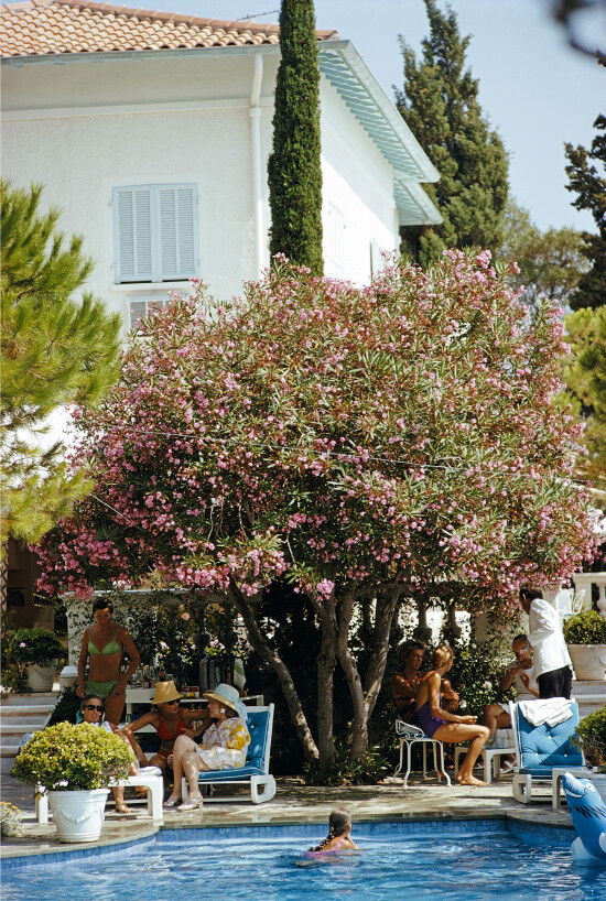 Monte Carlo