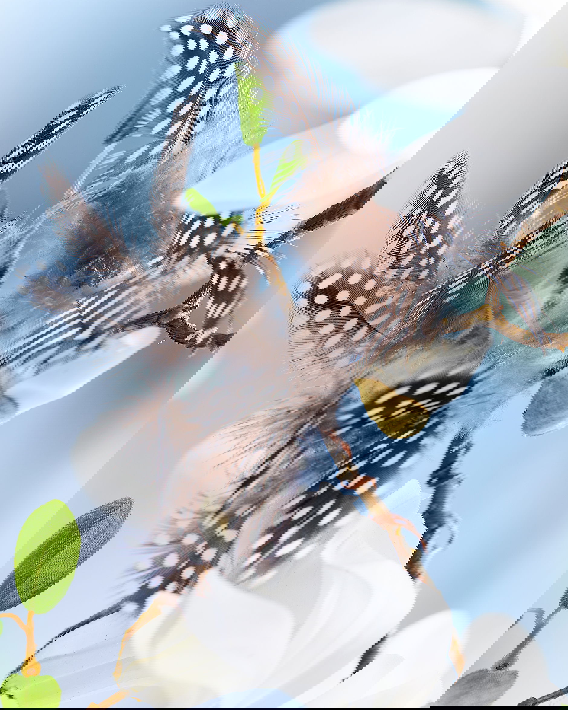 Pärlhöna påskfjädrar