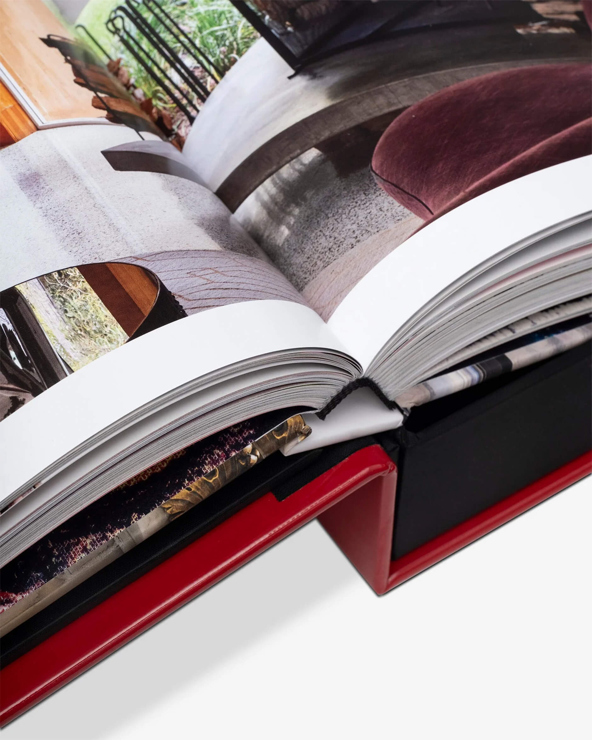 Living with Chamberlain, Art in Residence (Special Edition)