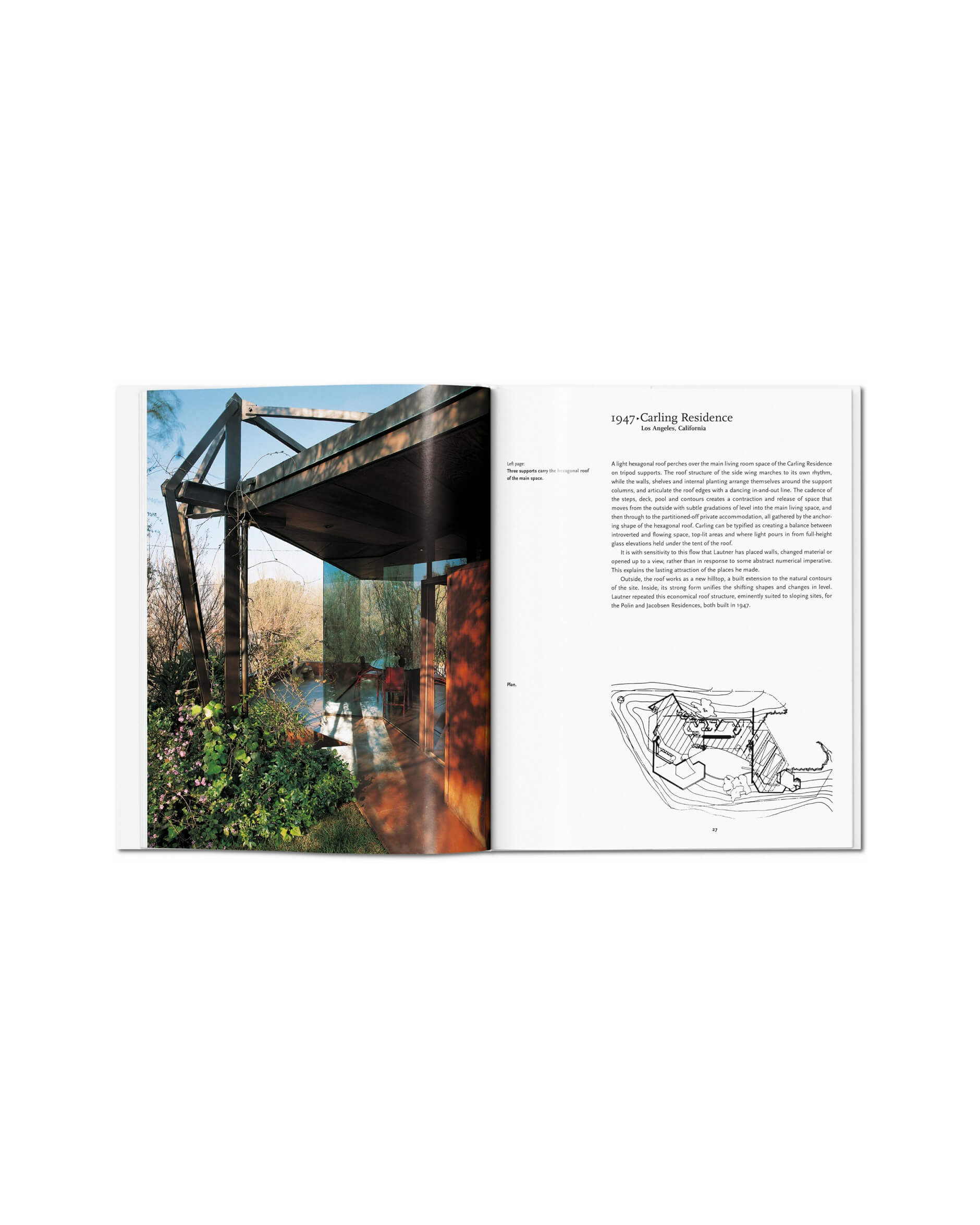 Lautner - Basic Art Series