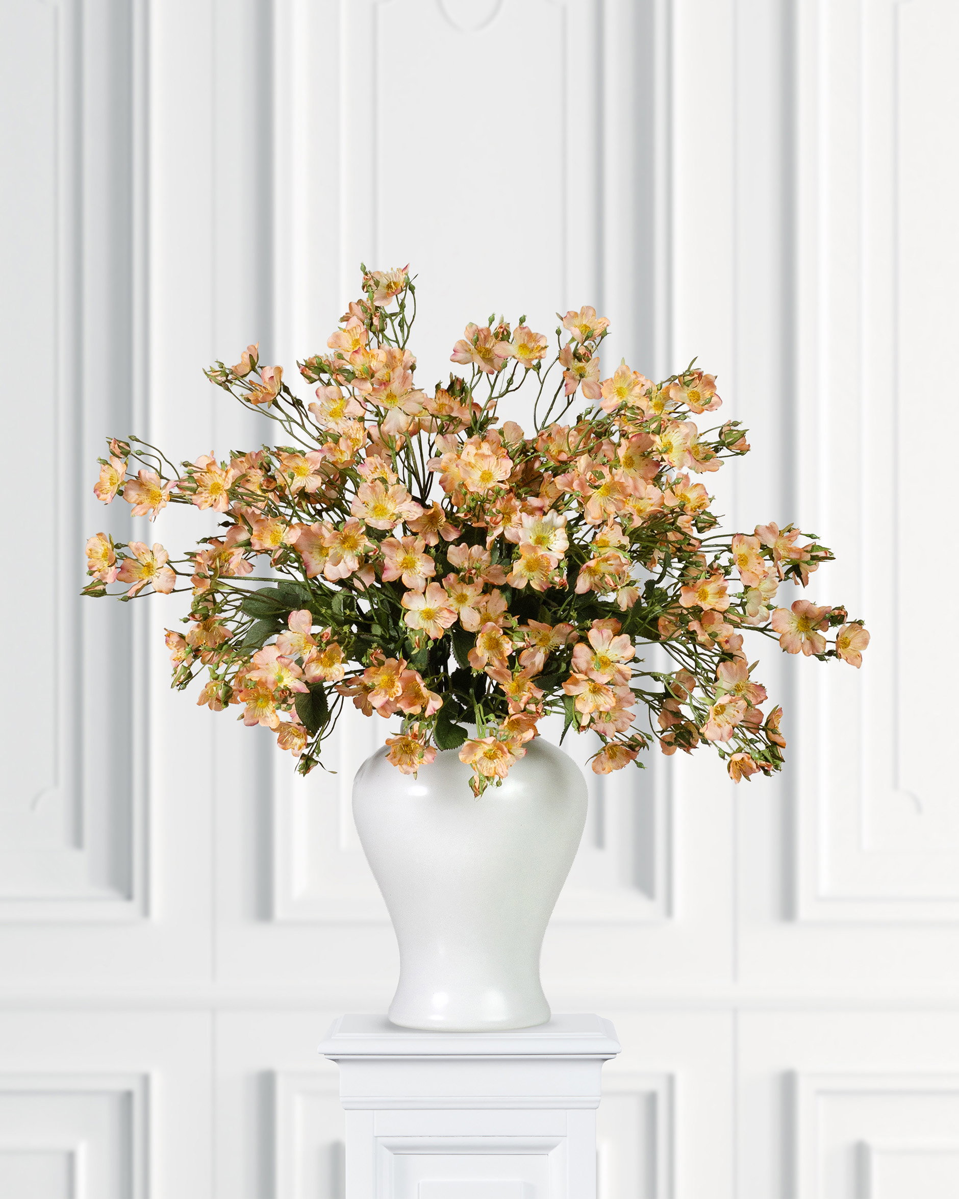 Japanese Climbing Rose Cut Flower Apricot