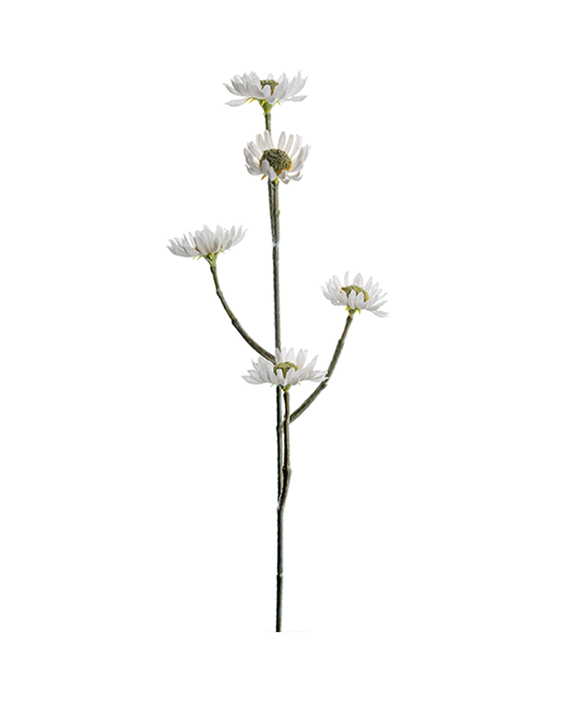 Eternell leikkokukka valkoinen OUTLET