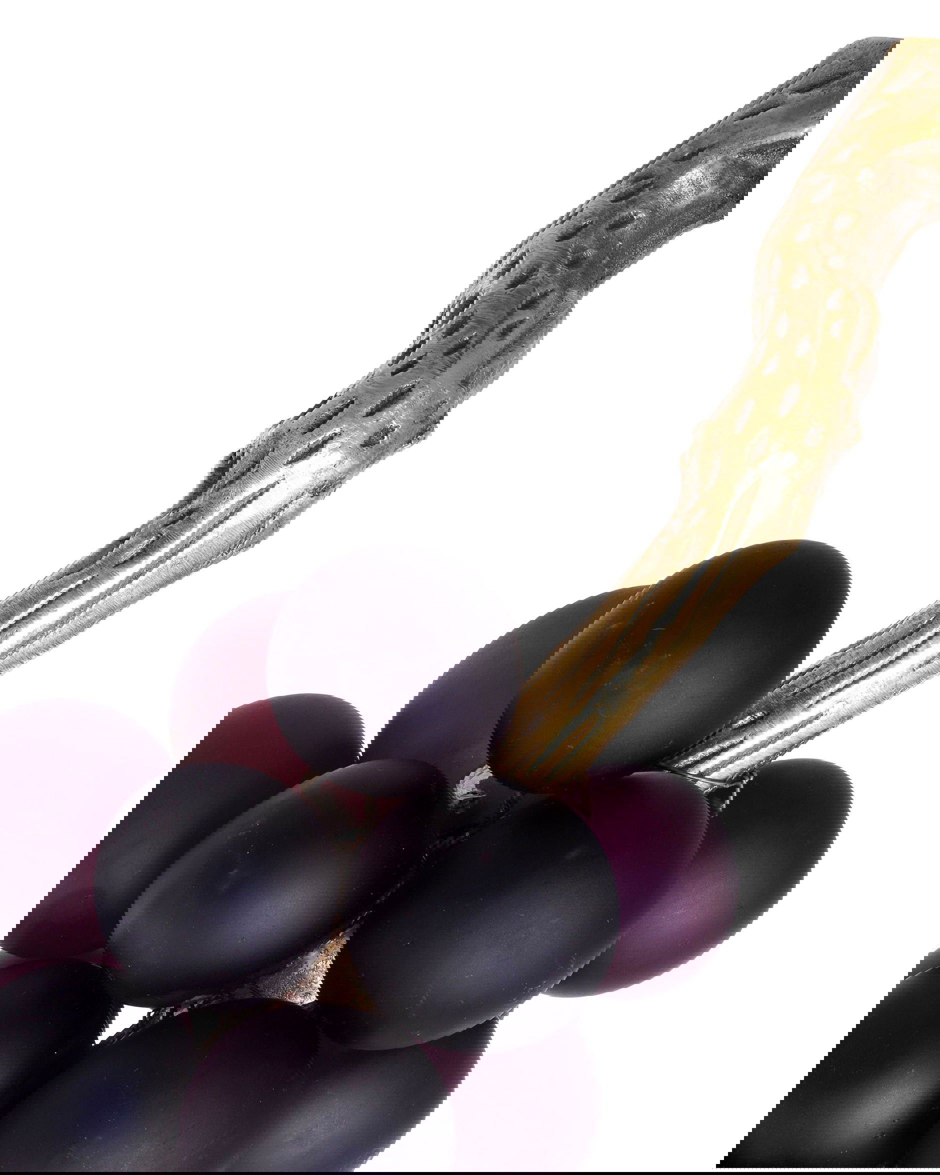 French Grapes dekoration lila