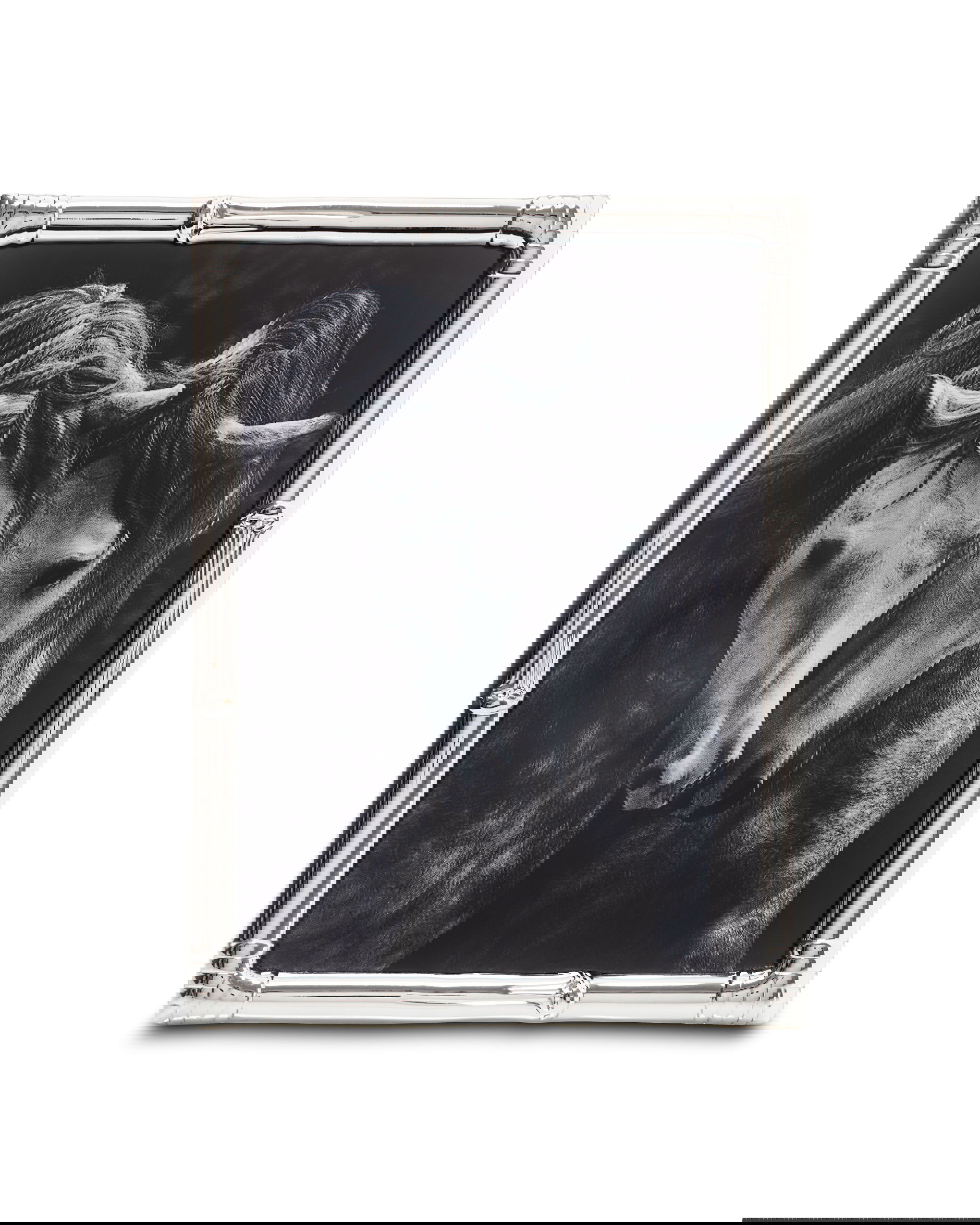 Garner fotoram silver