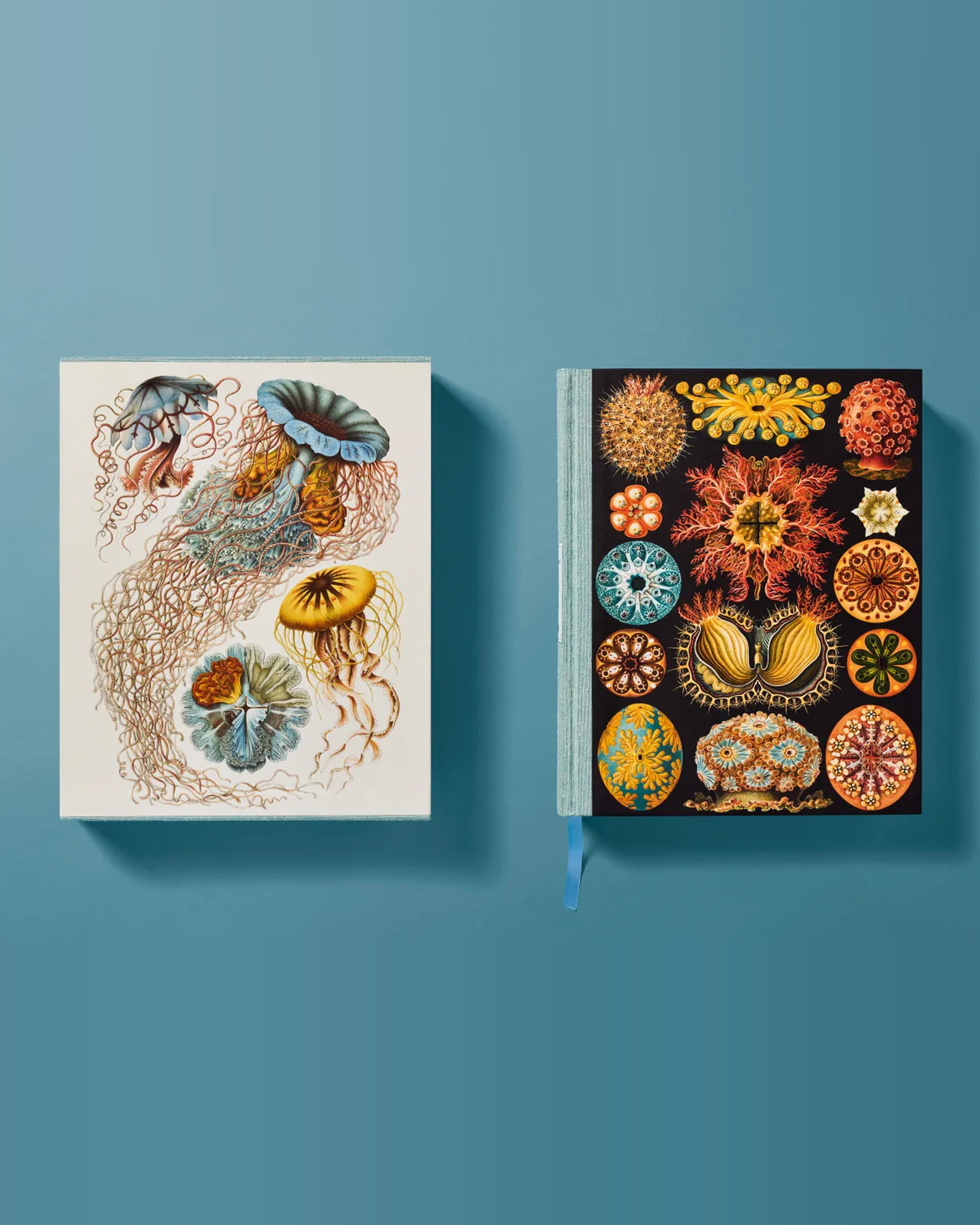 The Art and Science of Ernst Haeckel