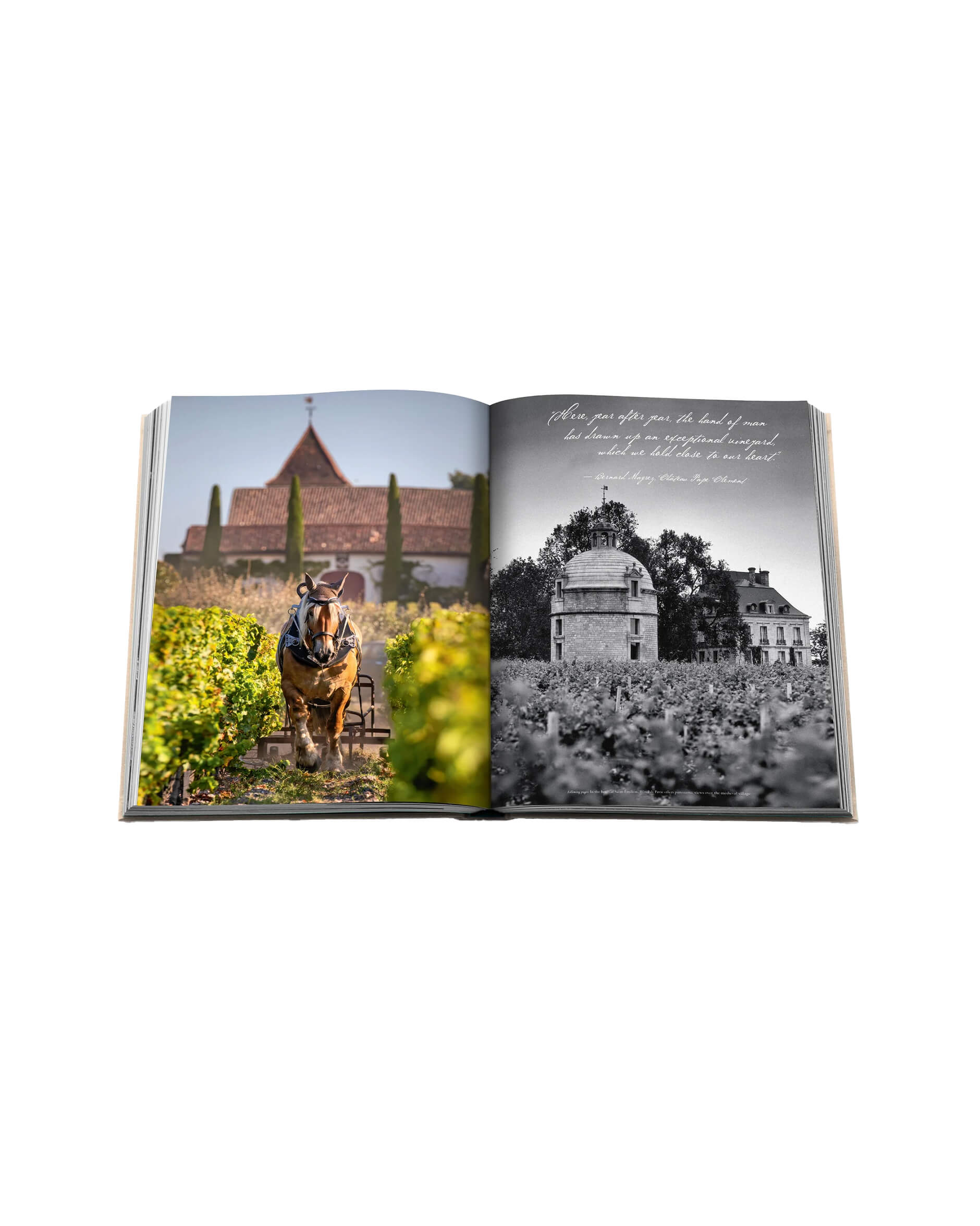 Wine & Travel France